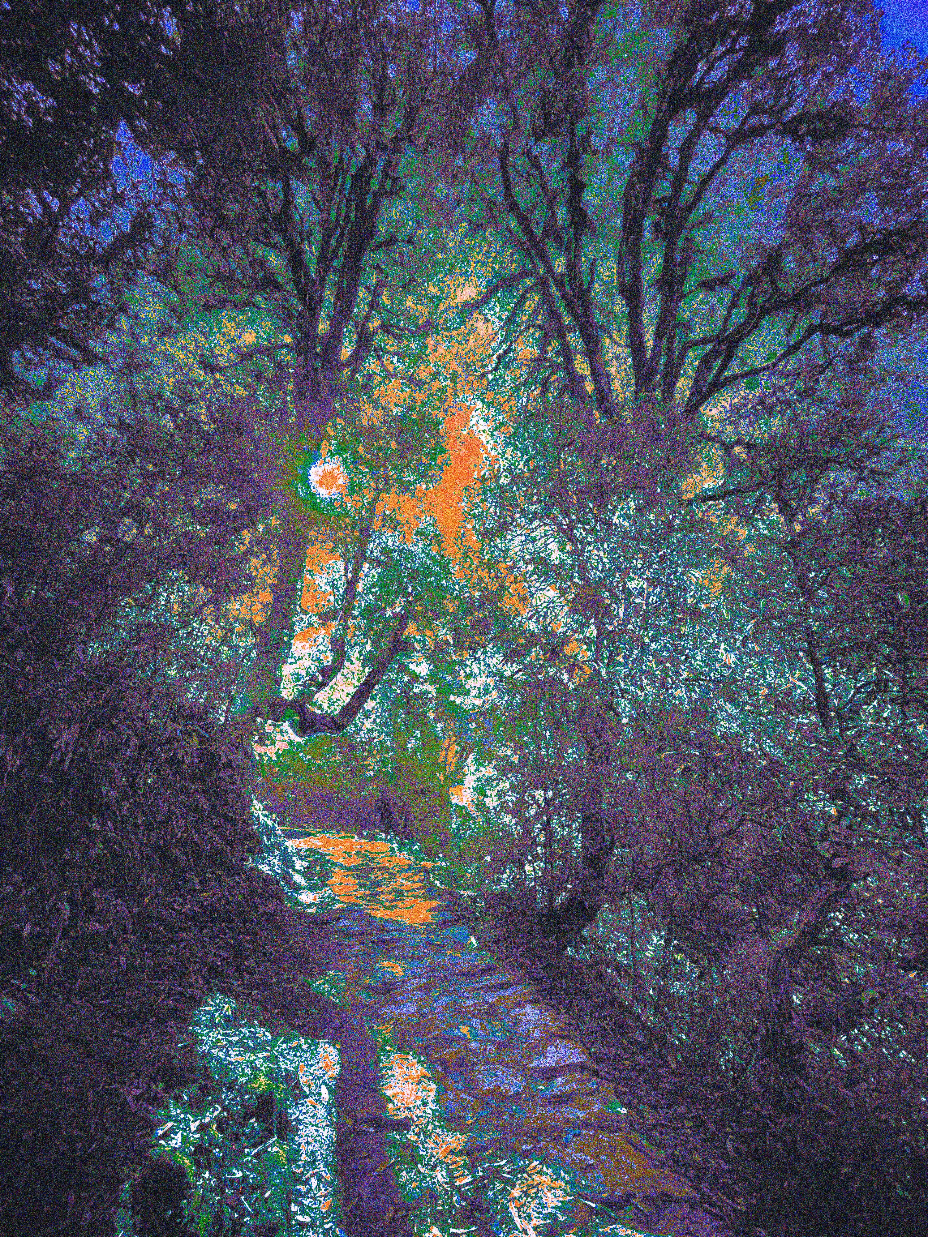 A Journal About Color Psychology With Nature