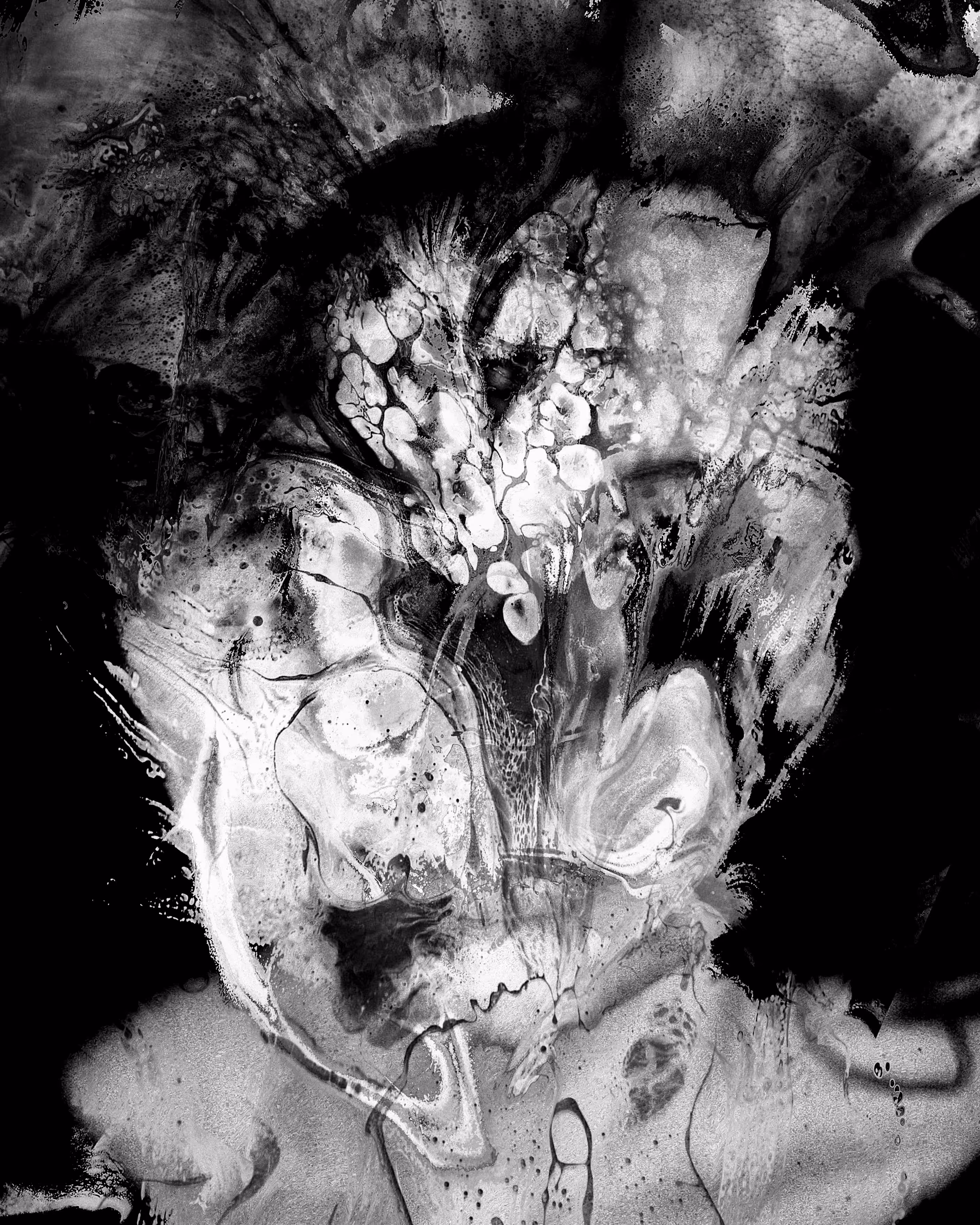 Bloom