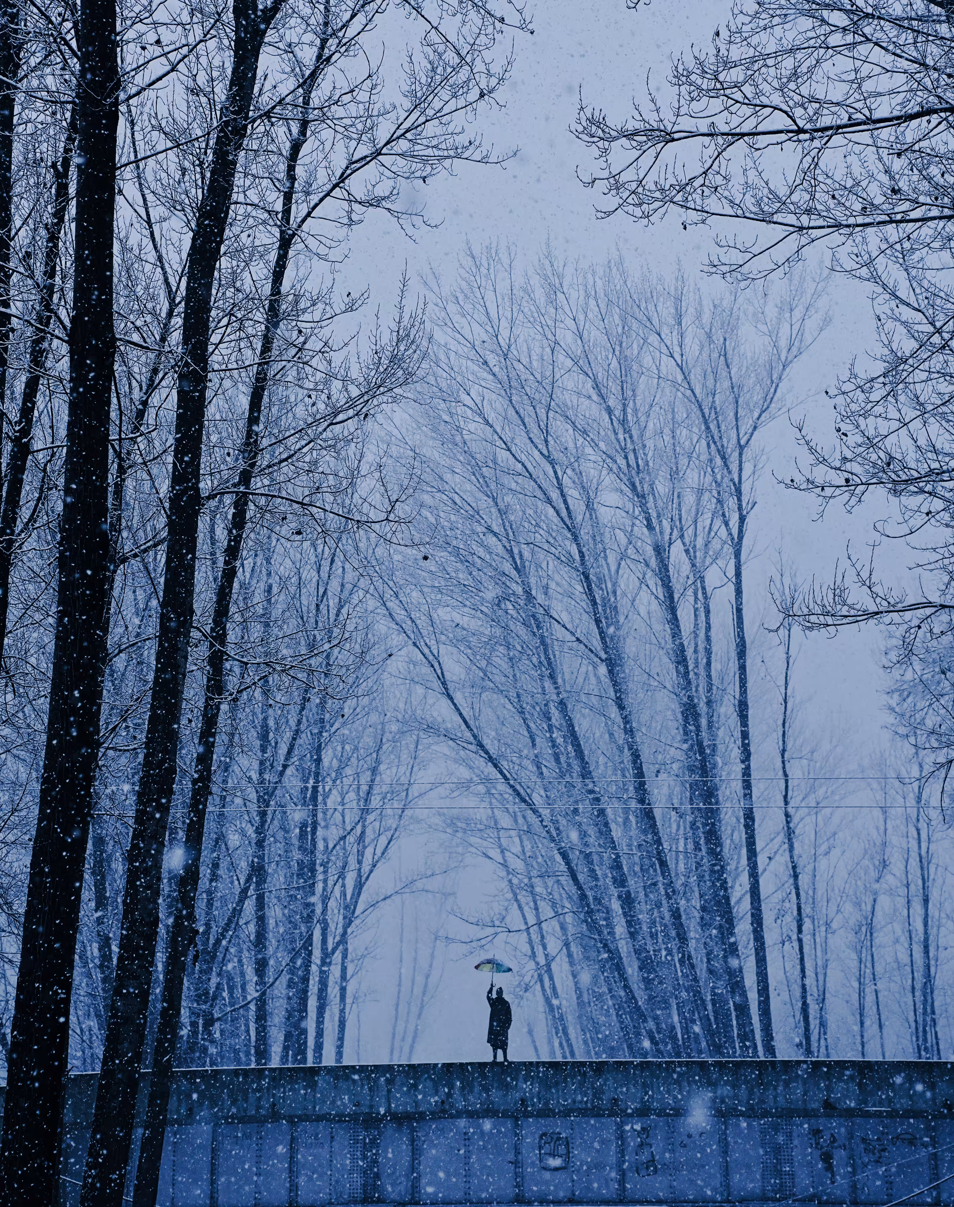 Whispers of Winter