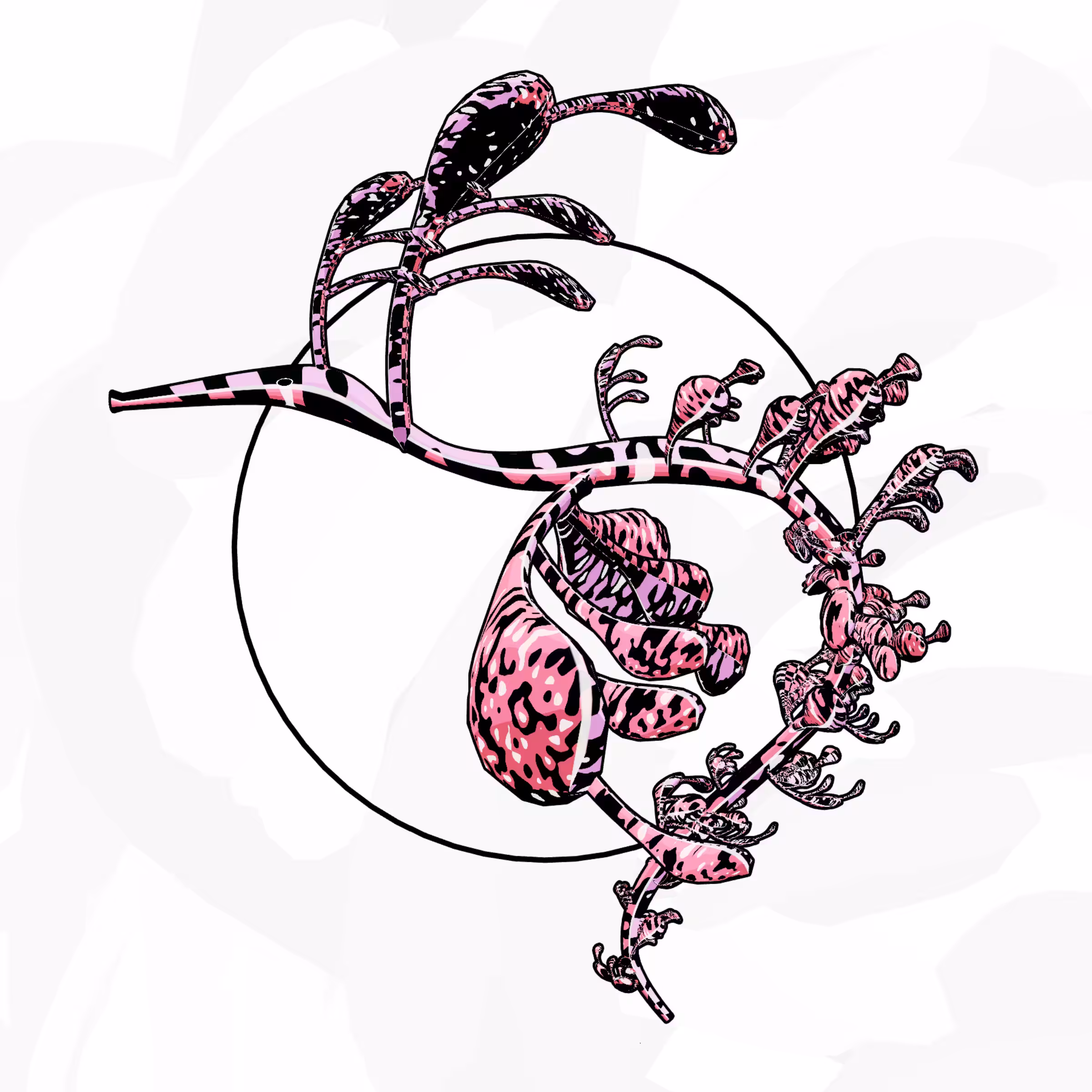Seadragons #344