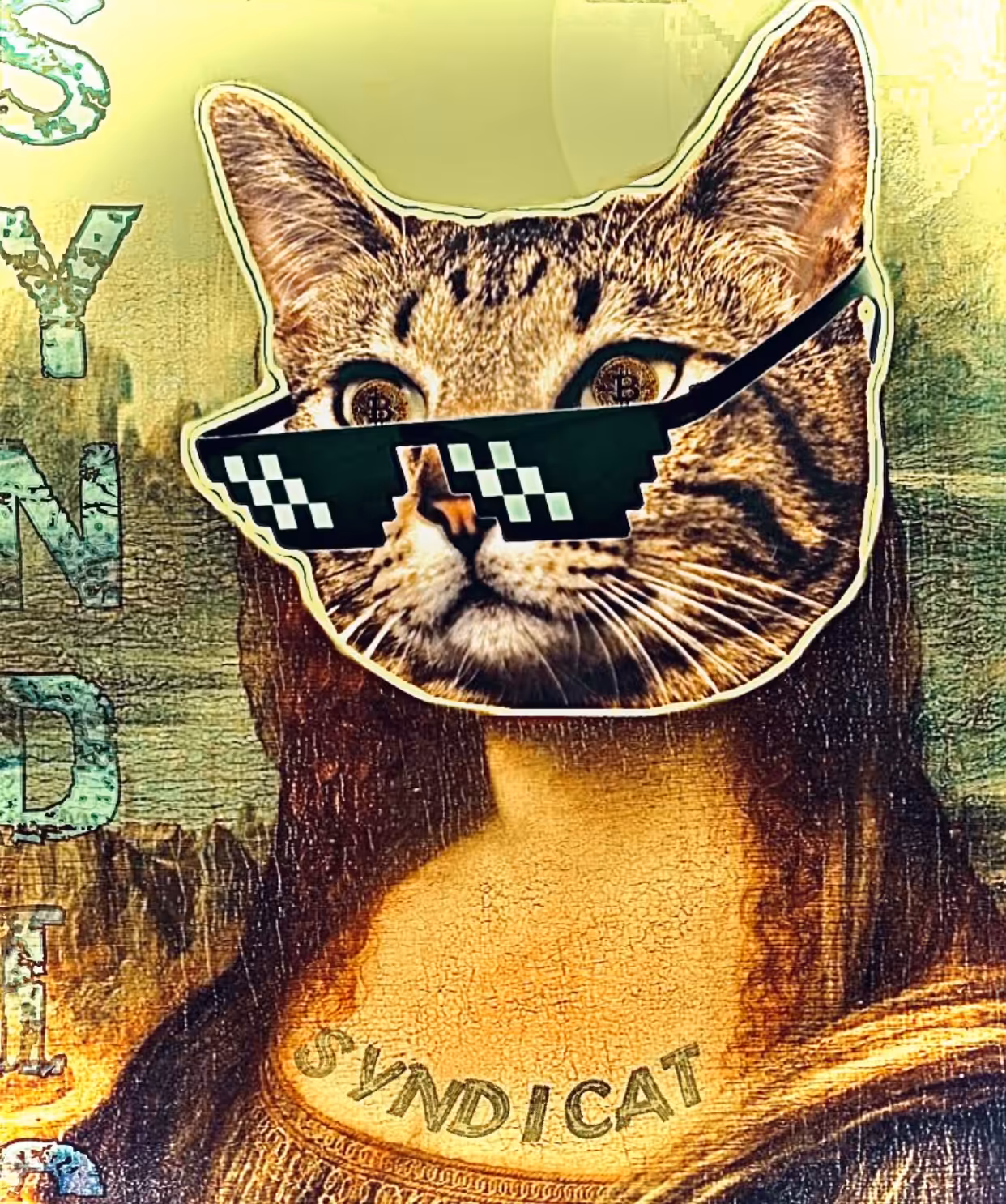 CATOSHI SYNDICAT . SYNDA-LISA .