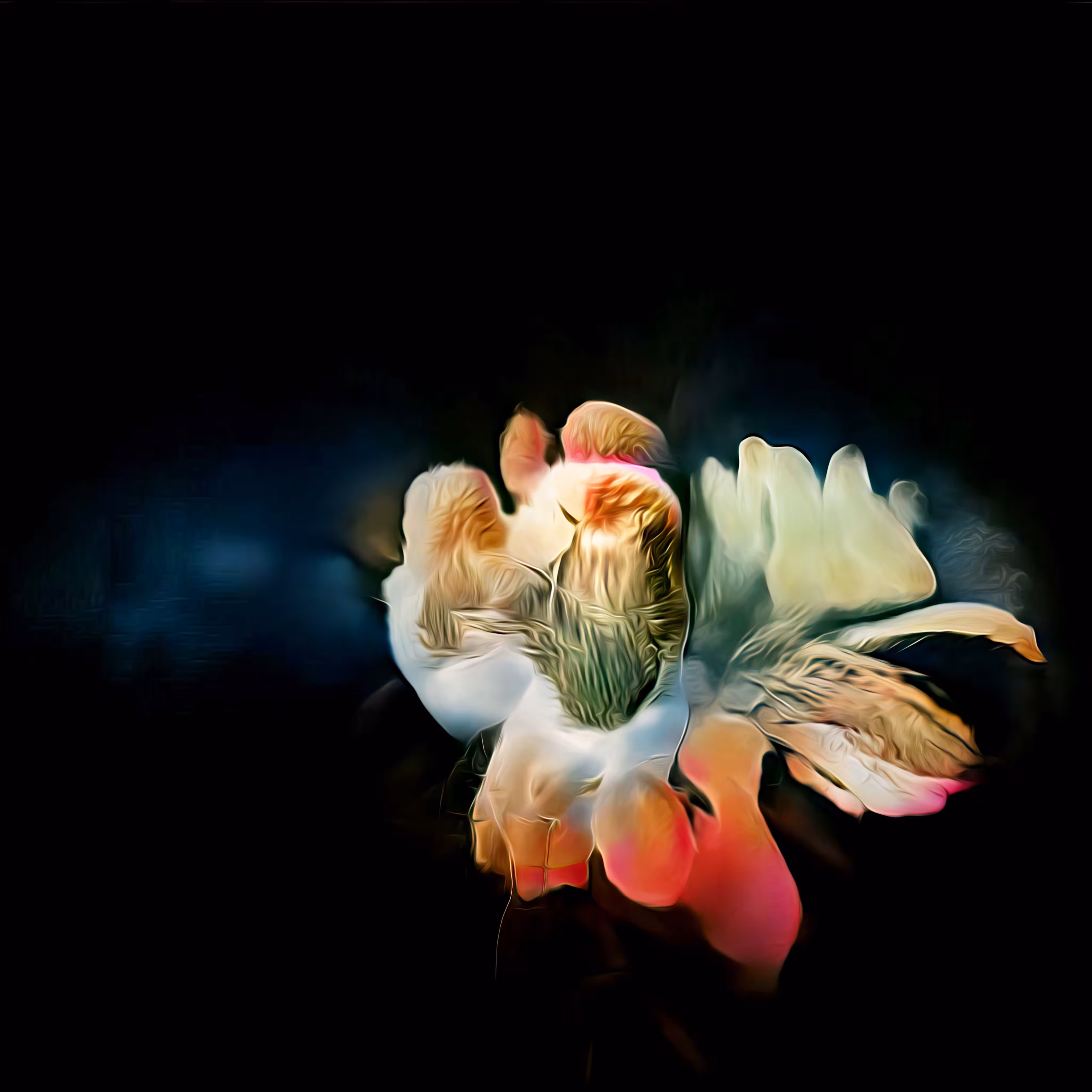 Flower 007