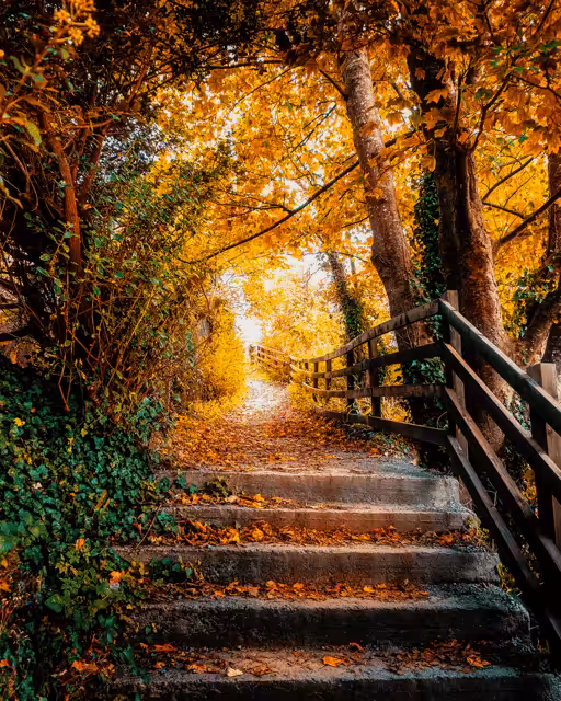 Autumn Path at Ennistymon Cascades