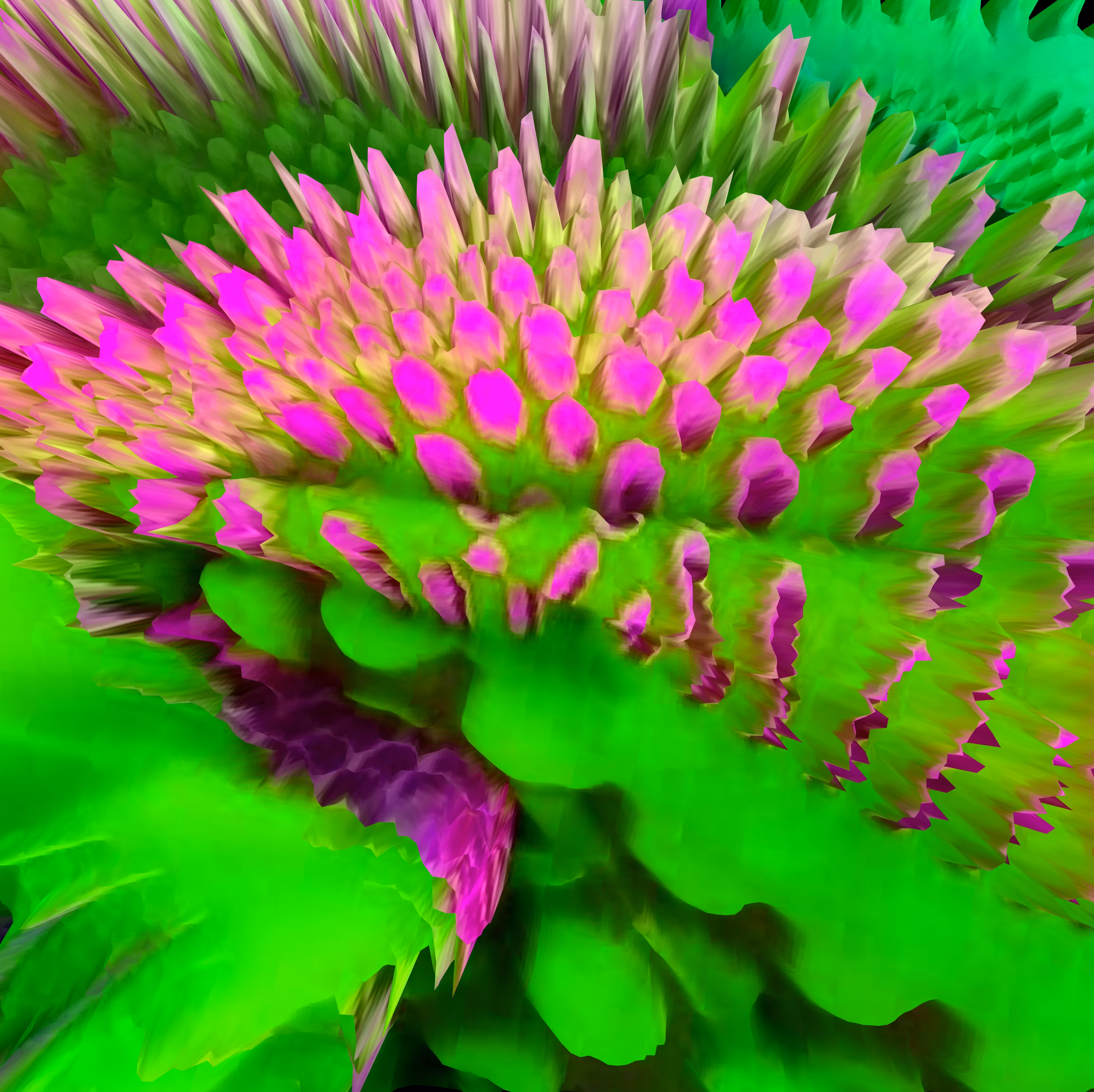 Tropical flowers