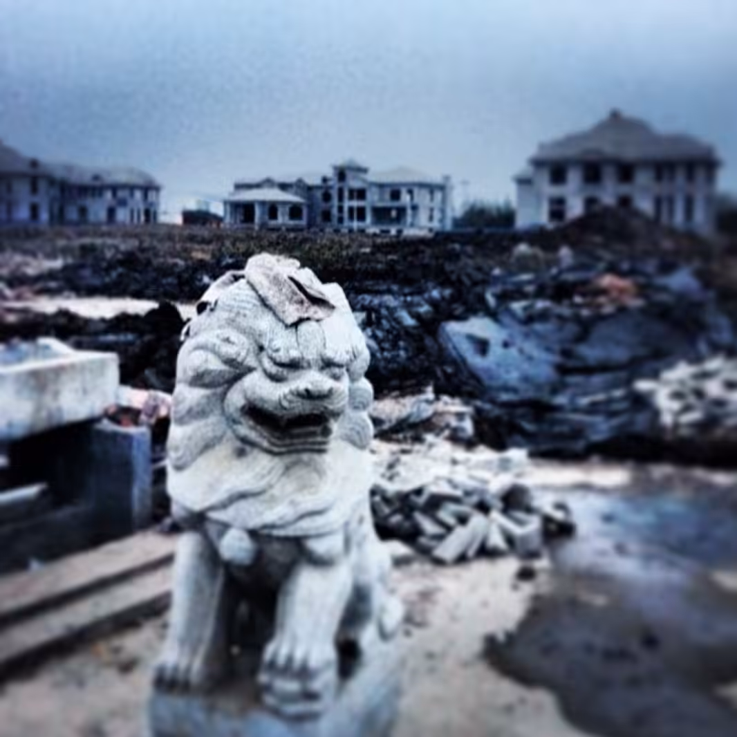 Lion of Development Zone (2013)