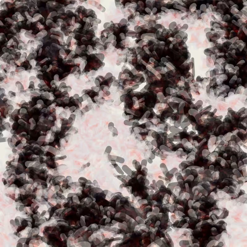 Petri 1500 #2