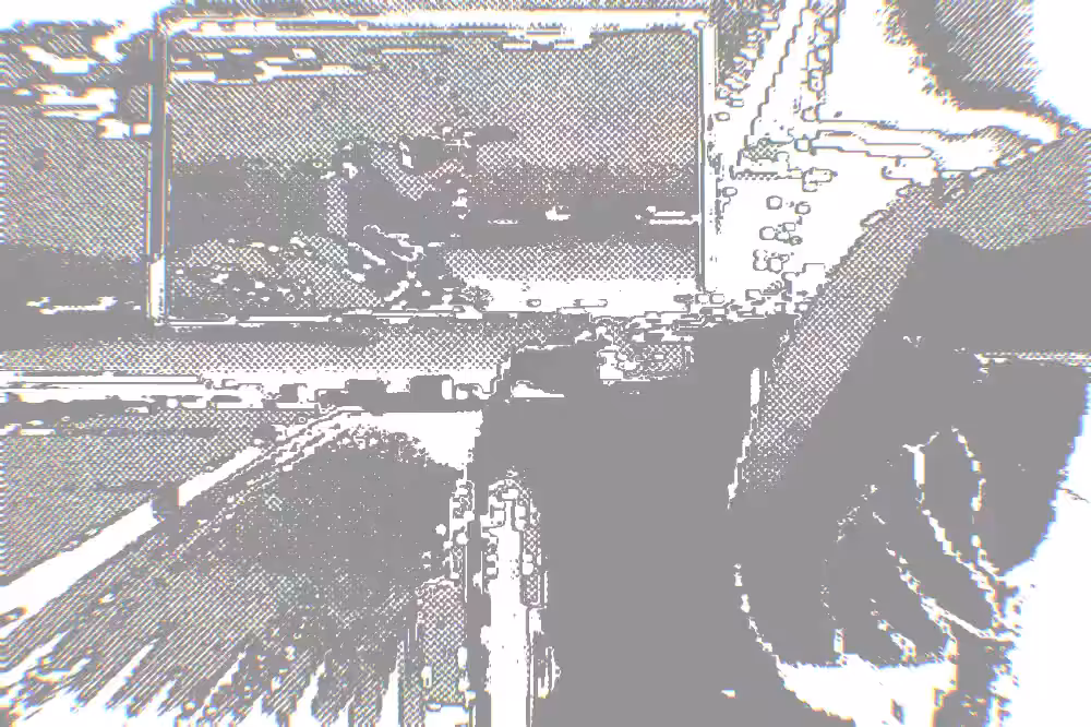 Vice