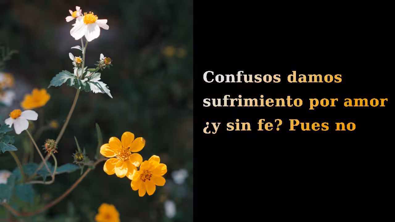 Así no se arma