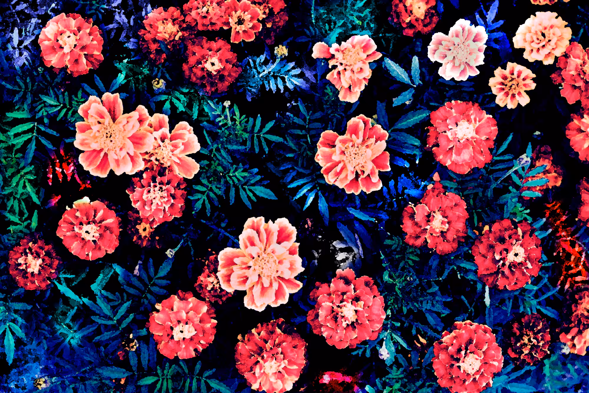 Spring