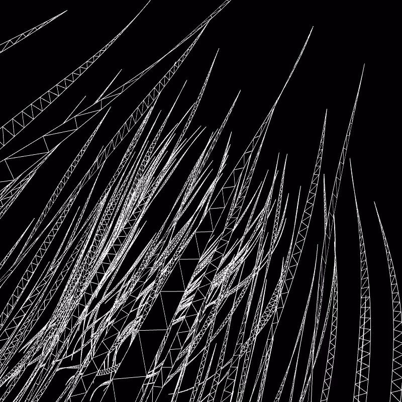 Paths of life #36