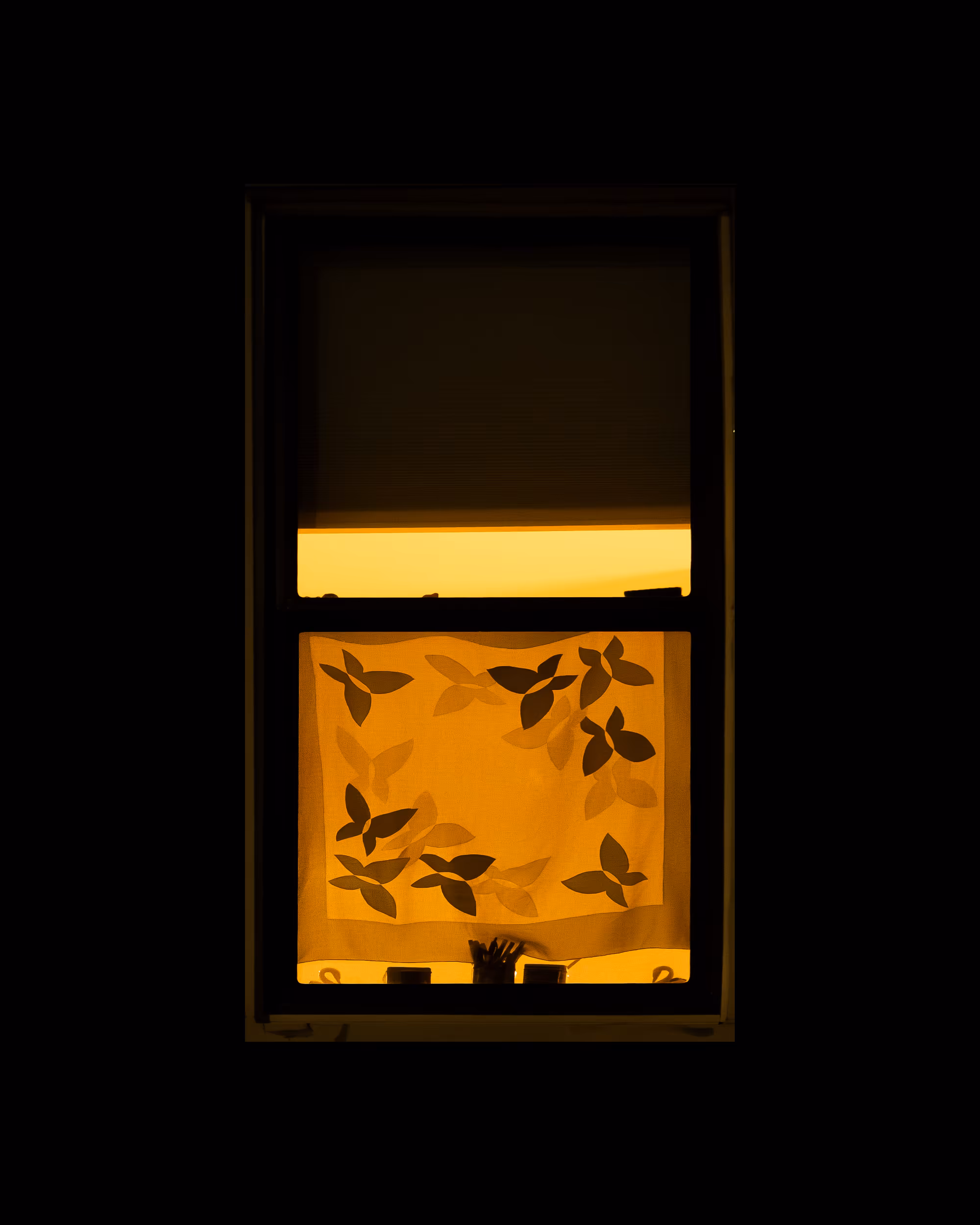 WINDOW 527
