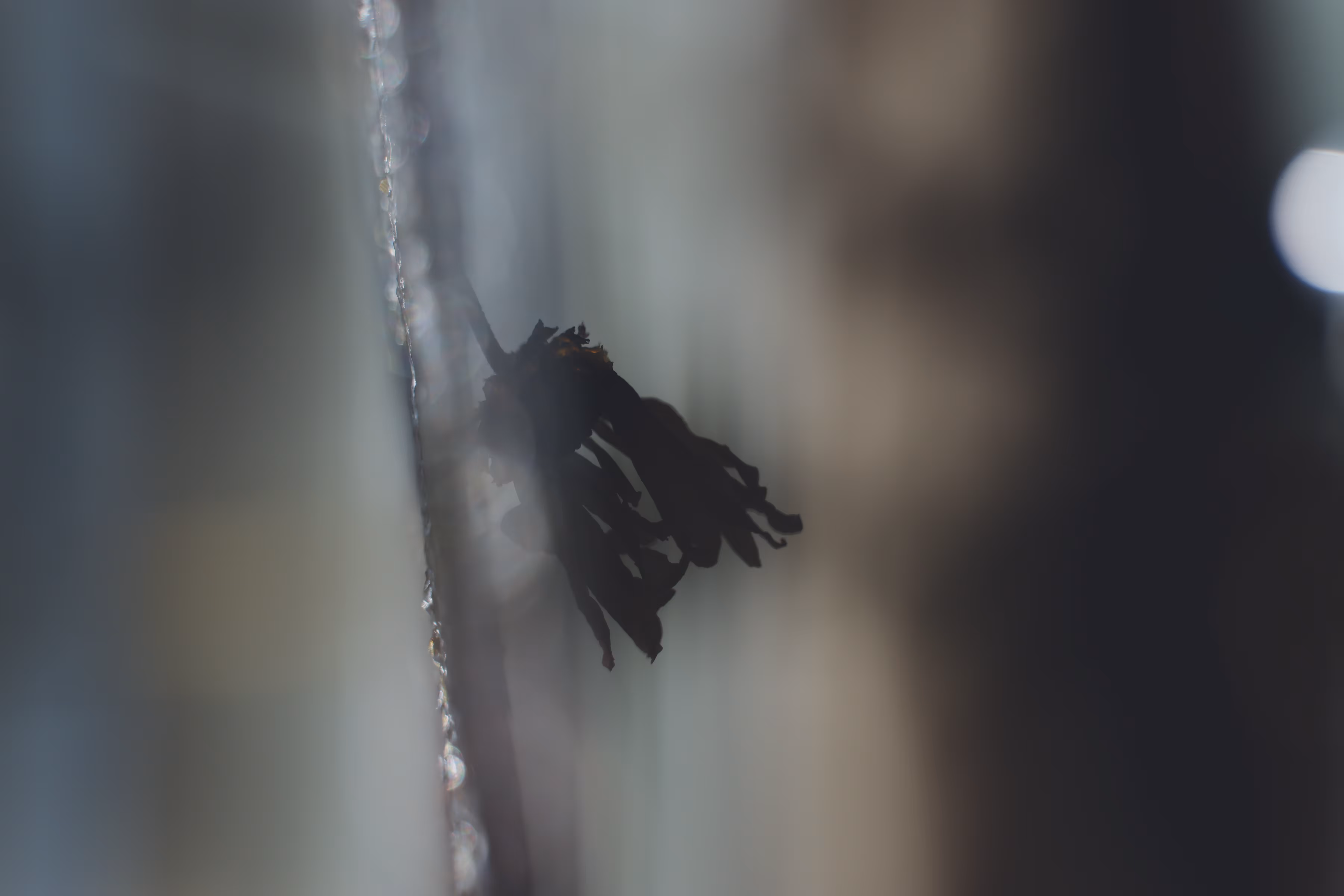 _feels like today 