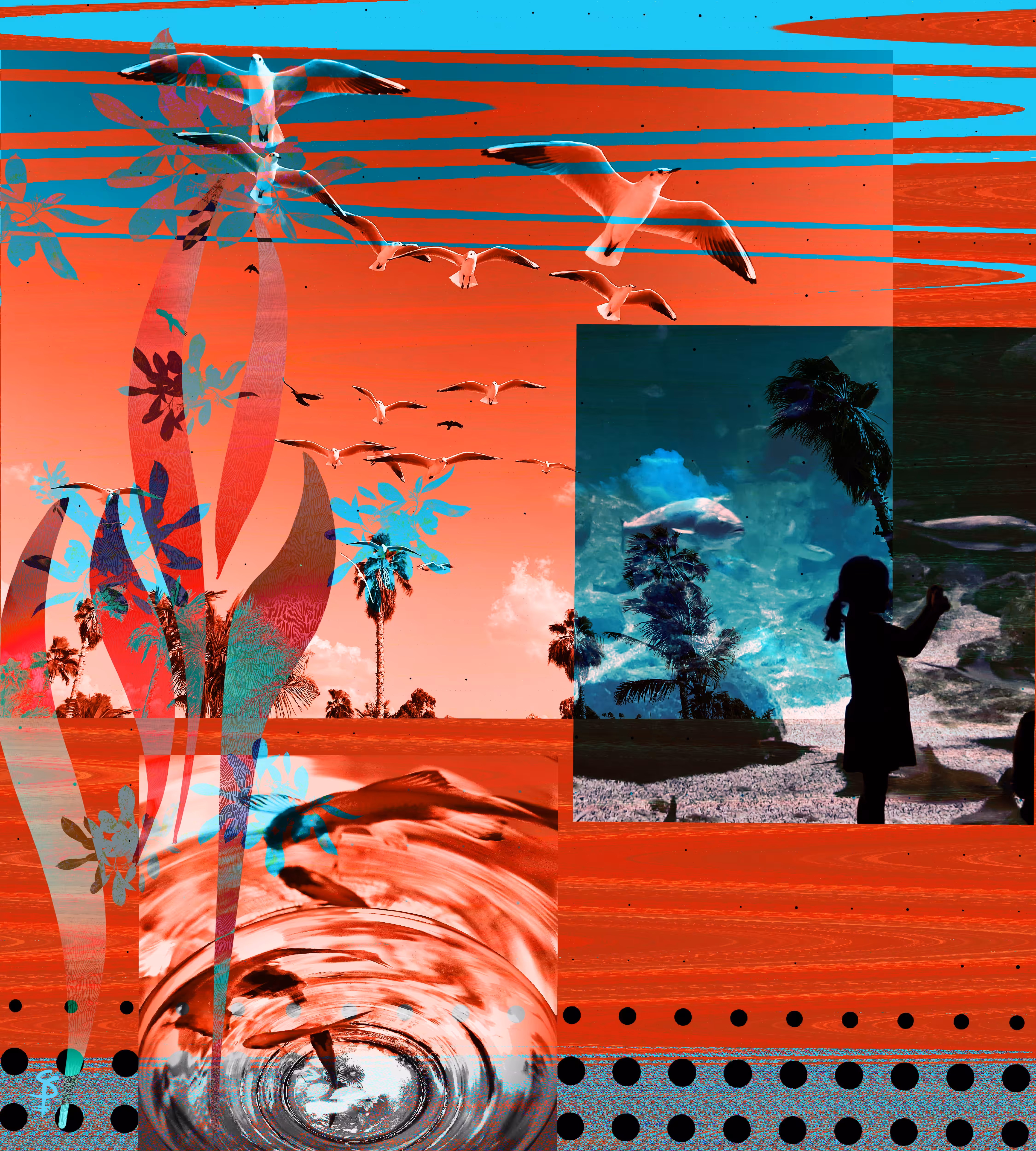 collage photography 