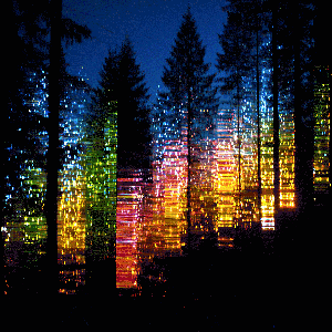 lost gifs: in silva perditus