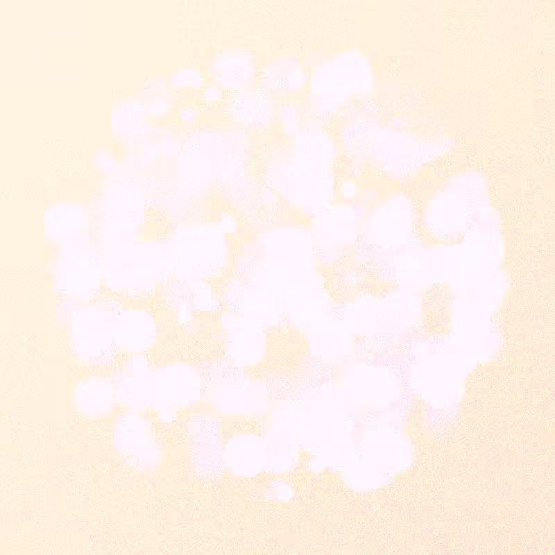 Furbol #298