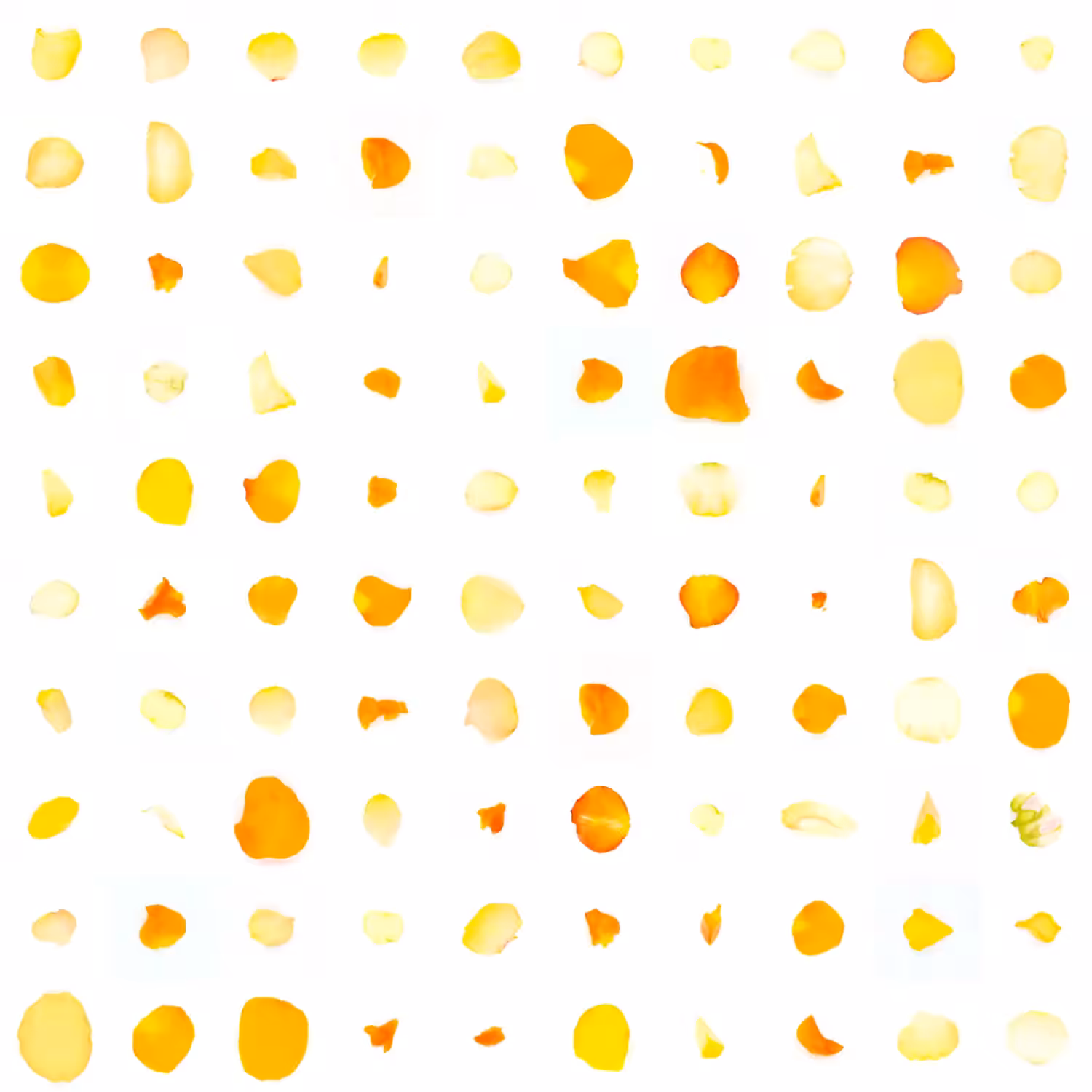 Infinite Petals 10x10#20011