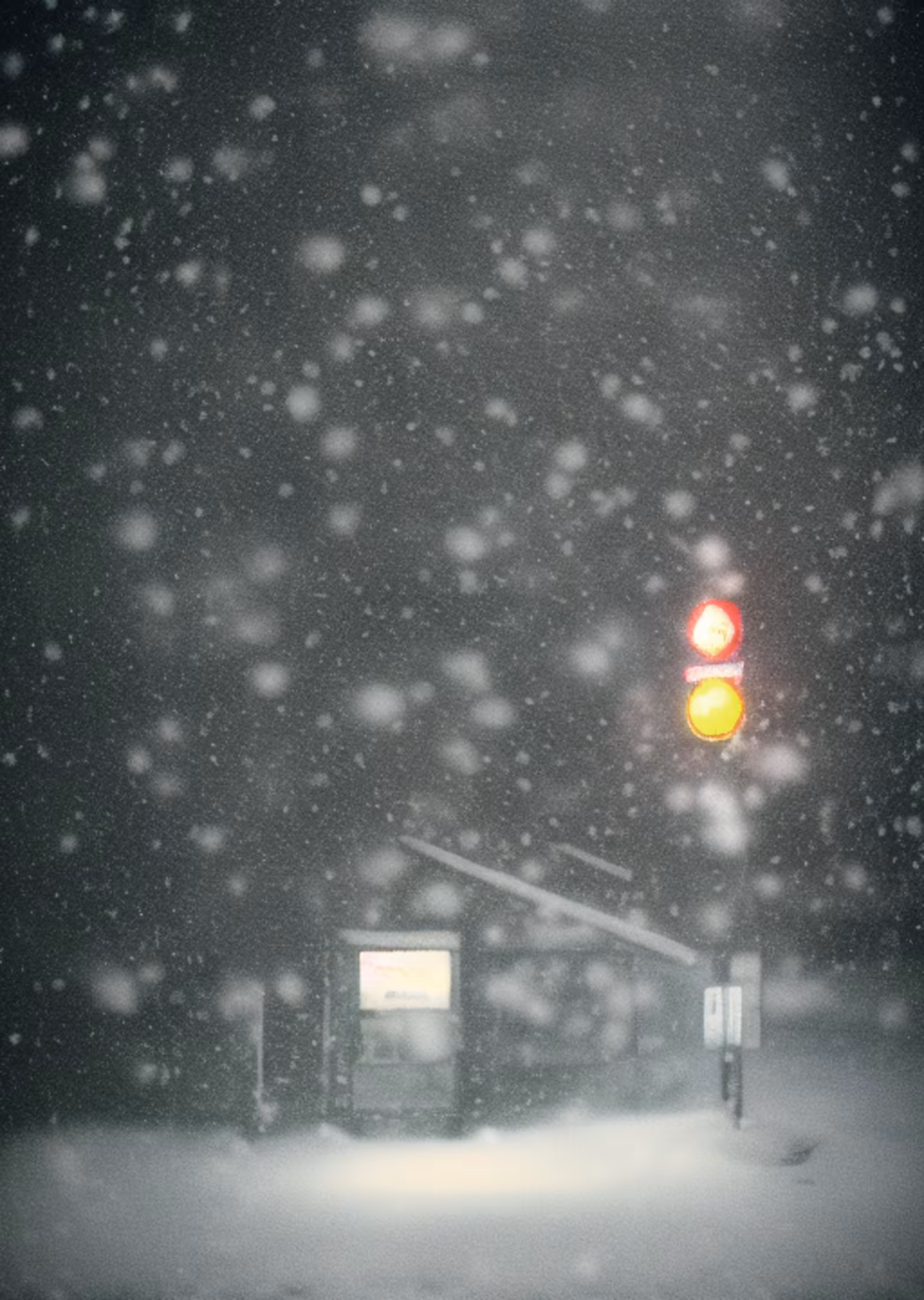 Siberian dream #011