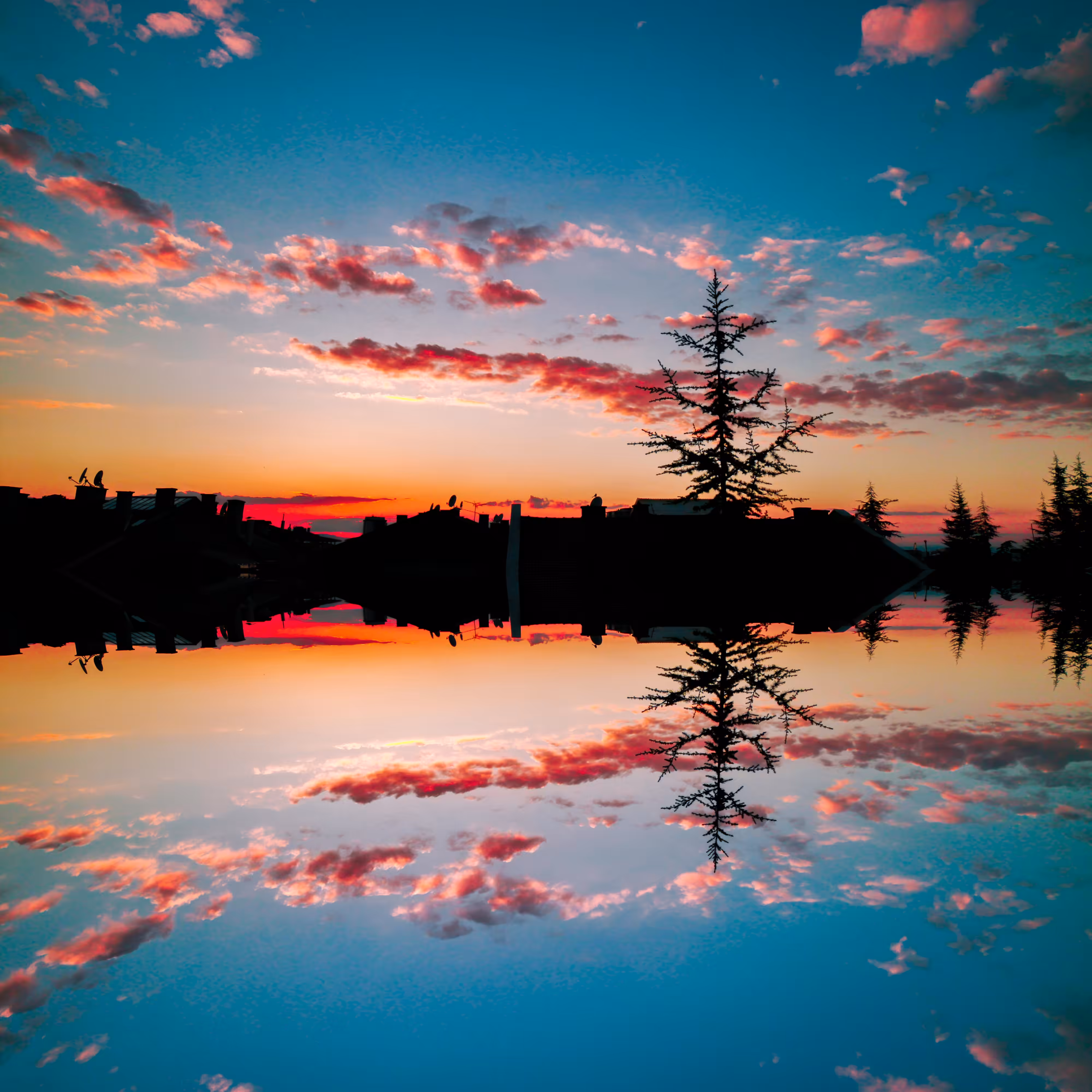 Sunsets Through My Window #39