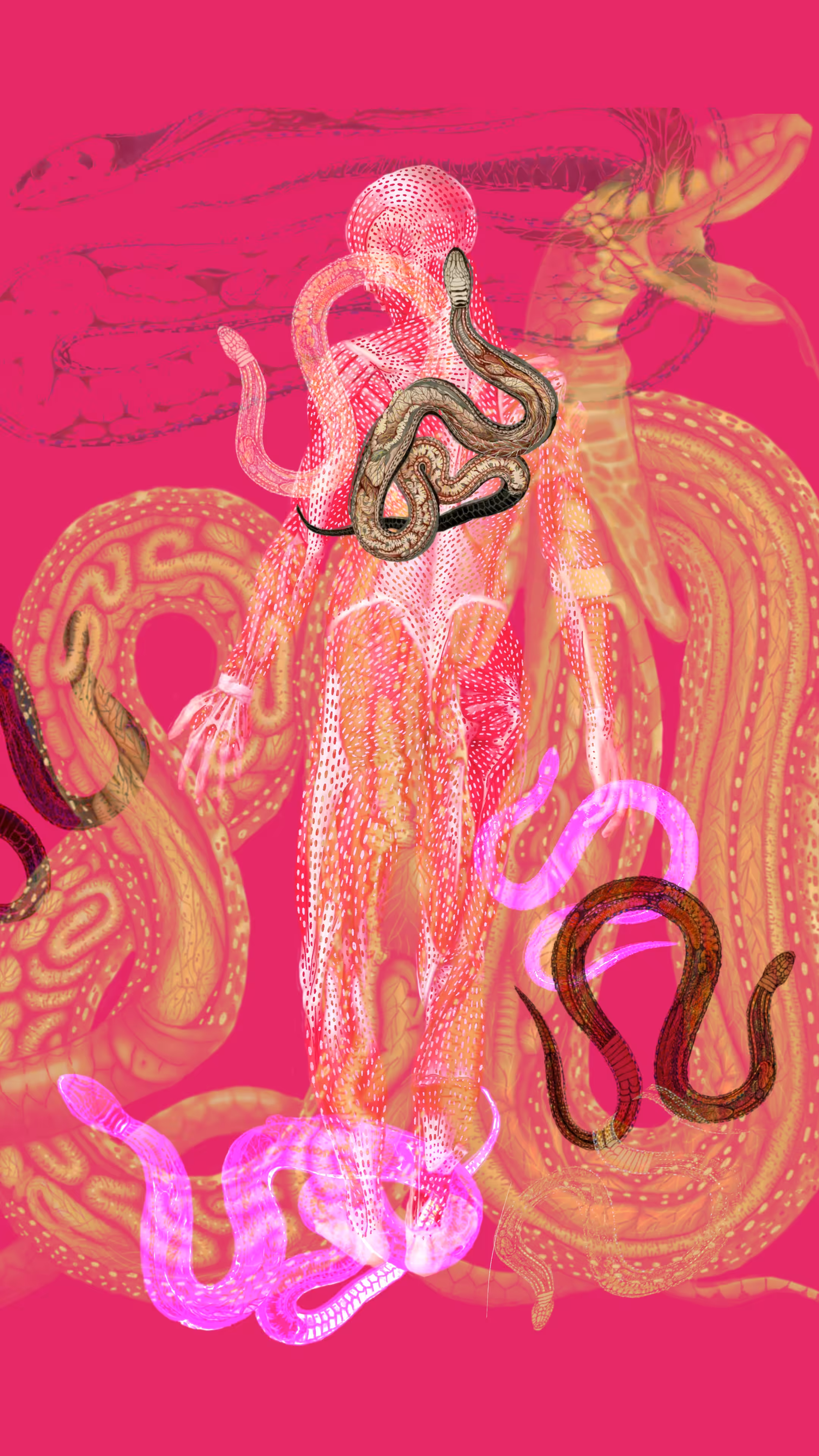 Humanimal Anatomy (snakes) #2