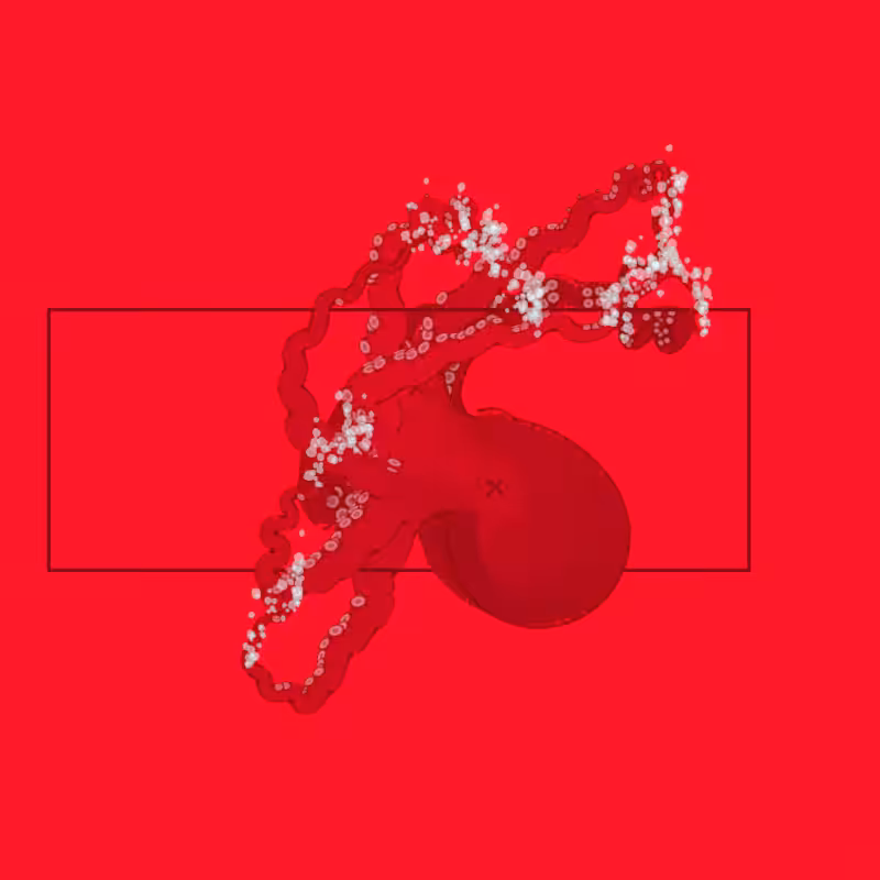 the generative octopuses #60