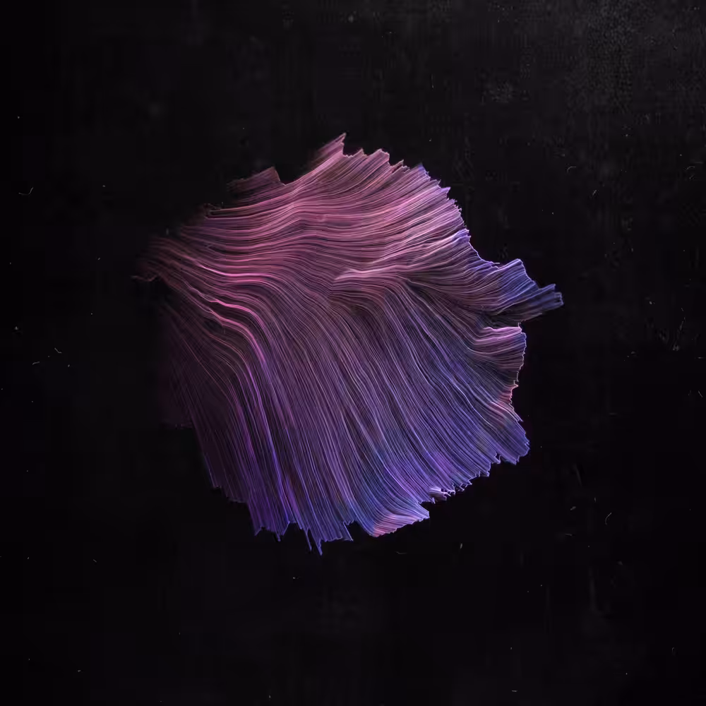water lily
