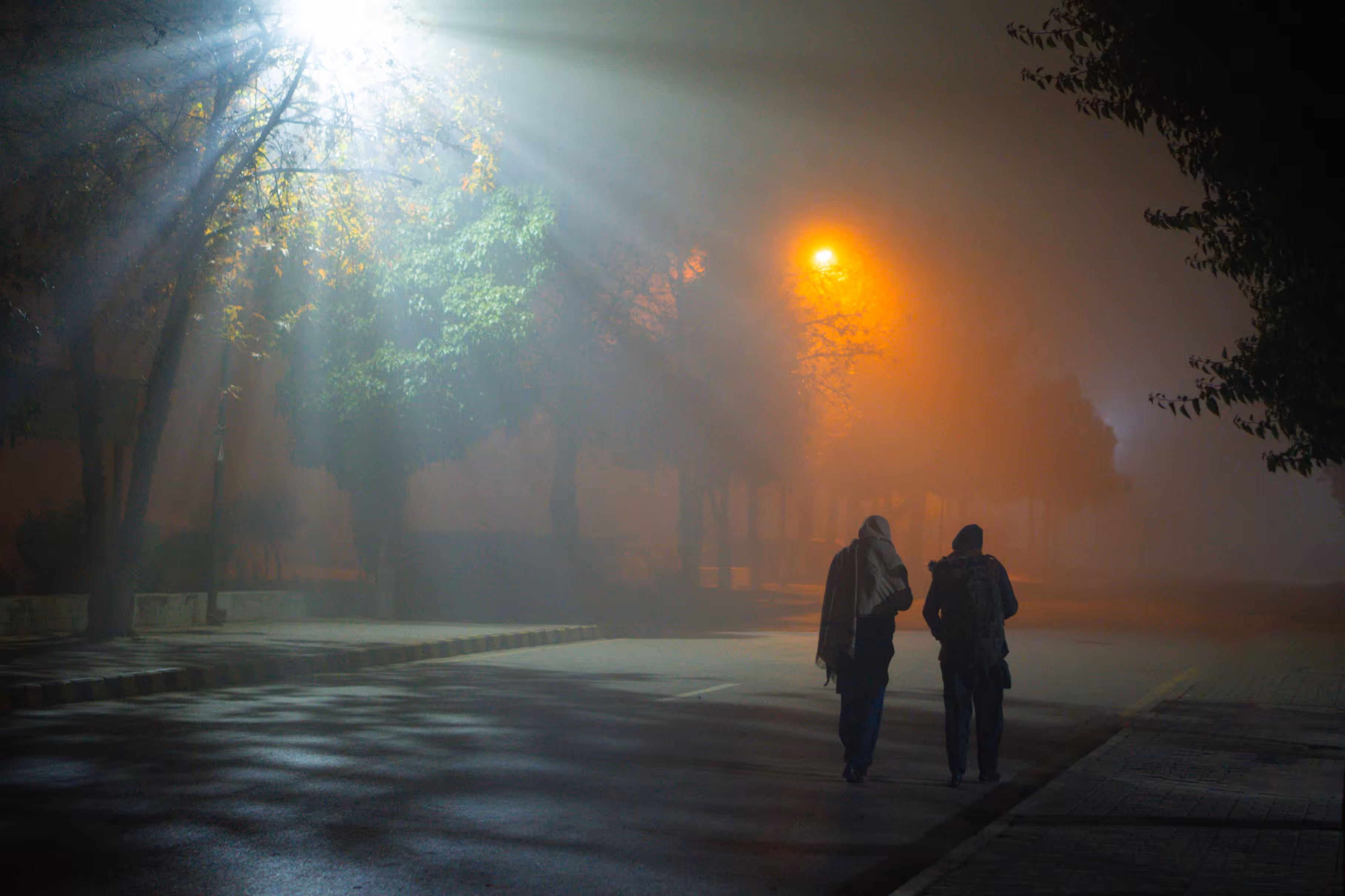 Through the Same Night