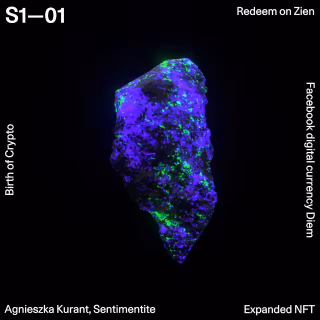 Sentimentite by Agnieszka Kurant 8/100