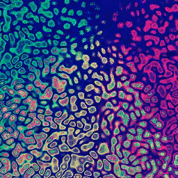 The Rifting #30