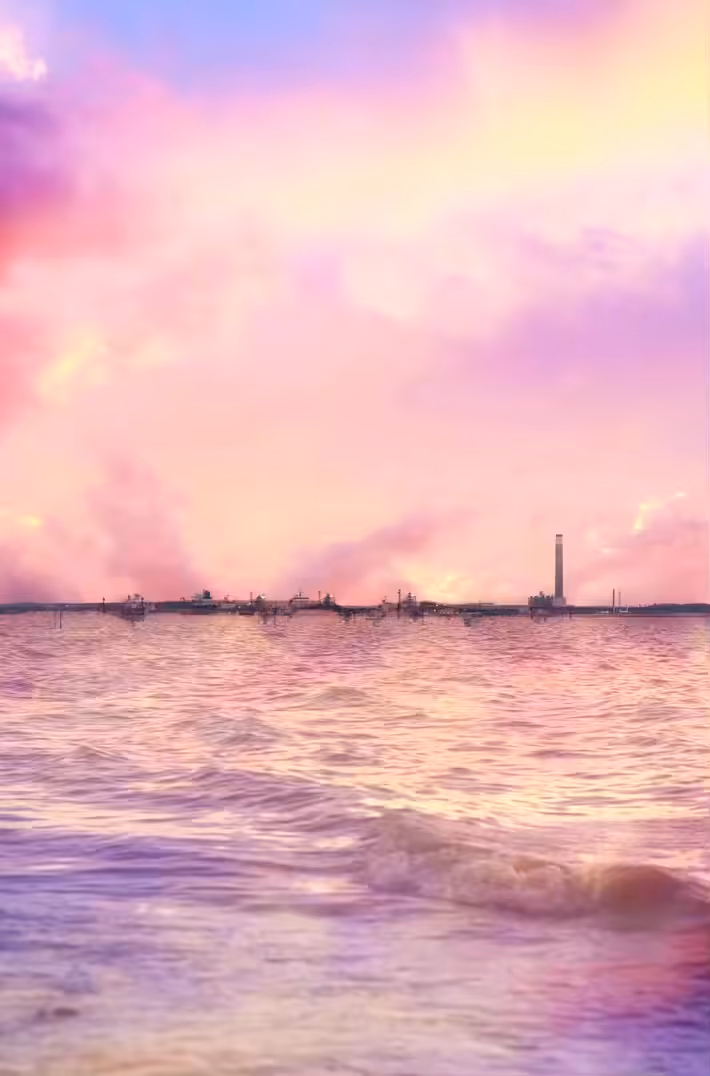 Summer Haven