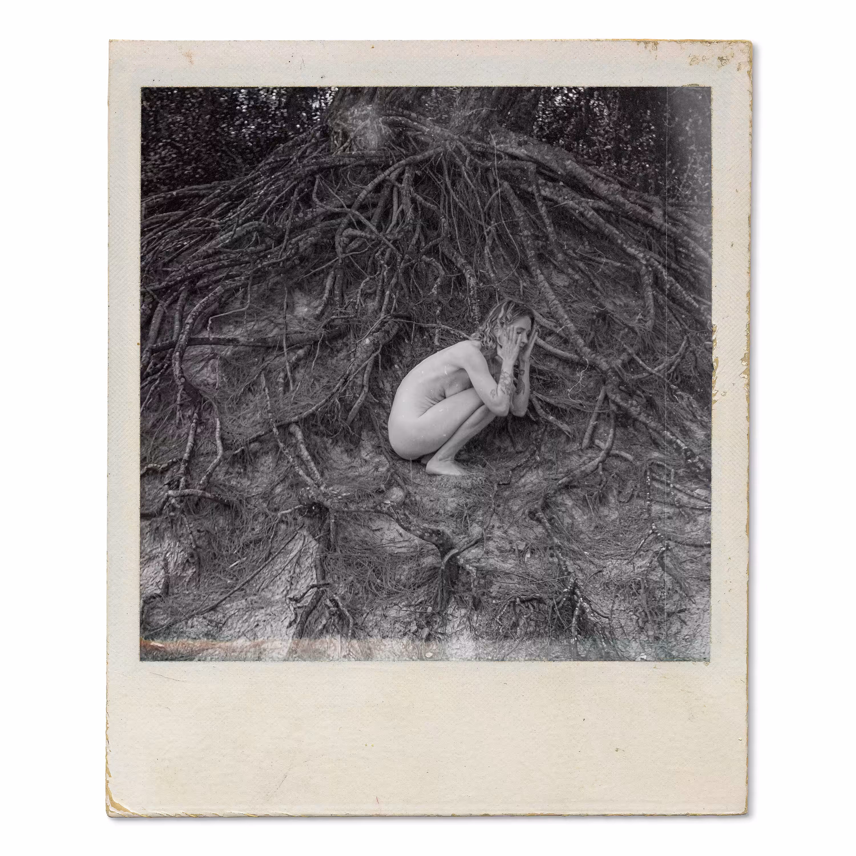 Infertile Fruit