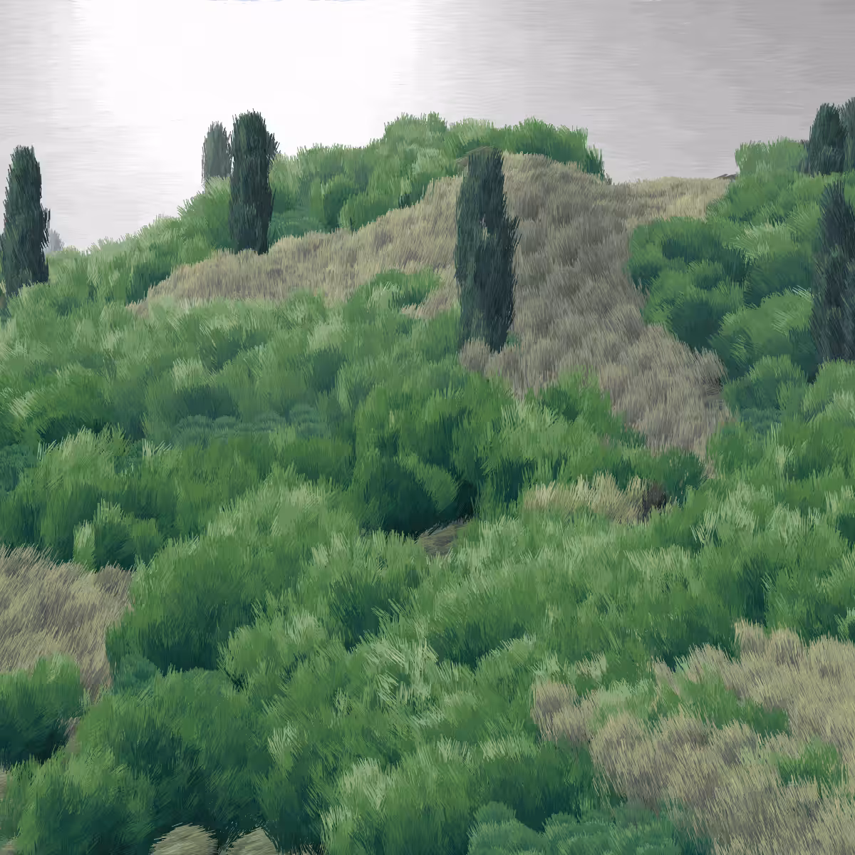 Provence #355