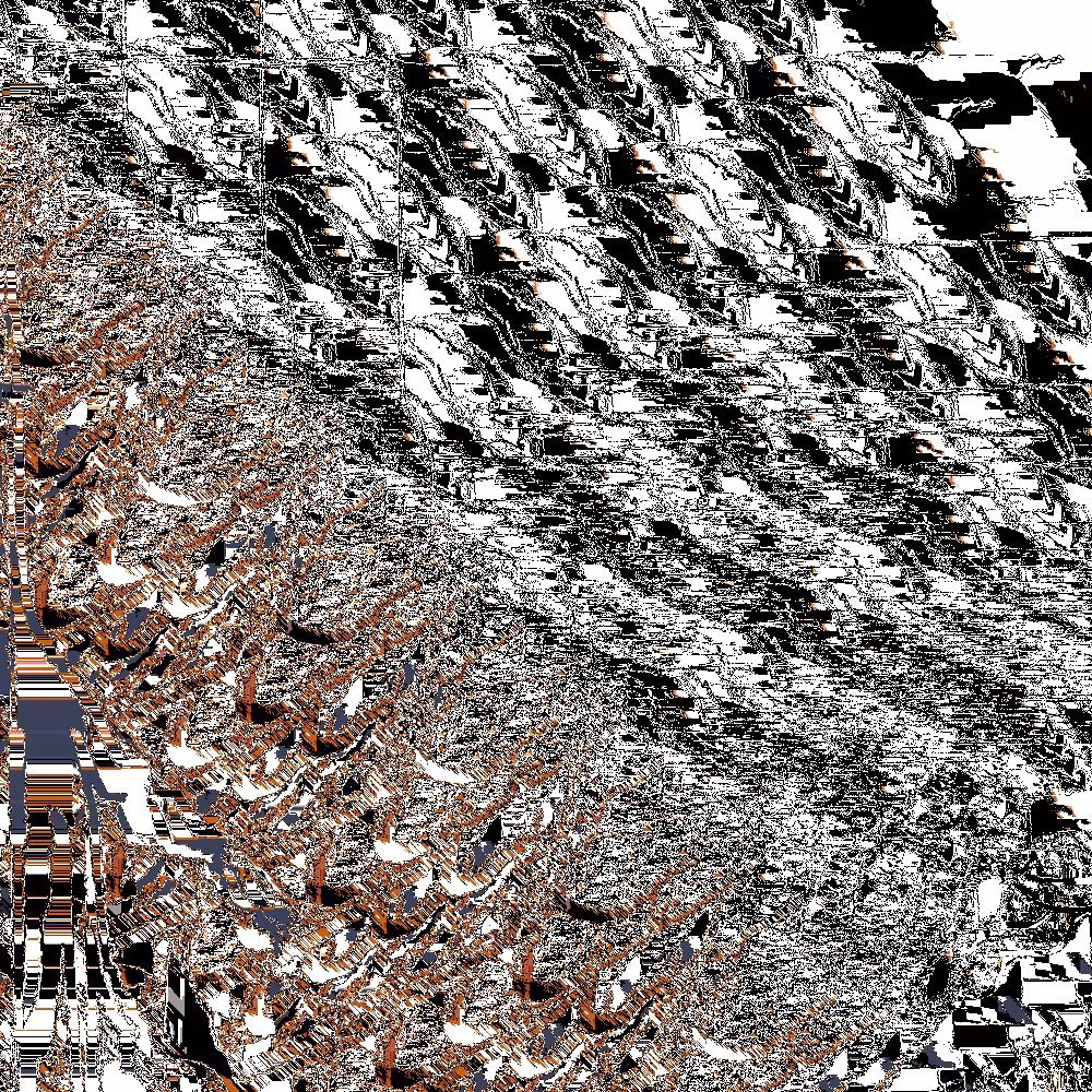 Destruction of a Quail 08 - Detail 1