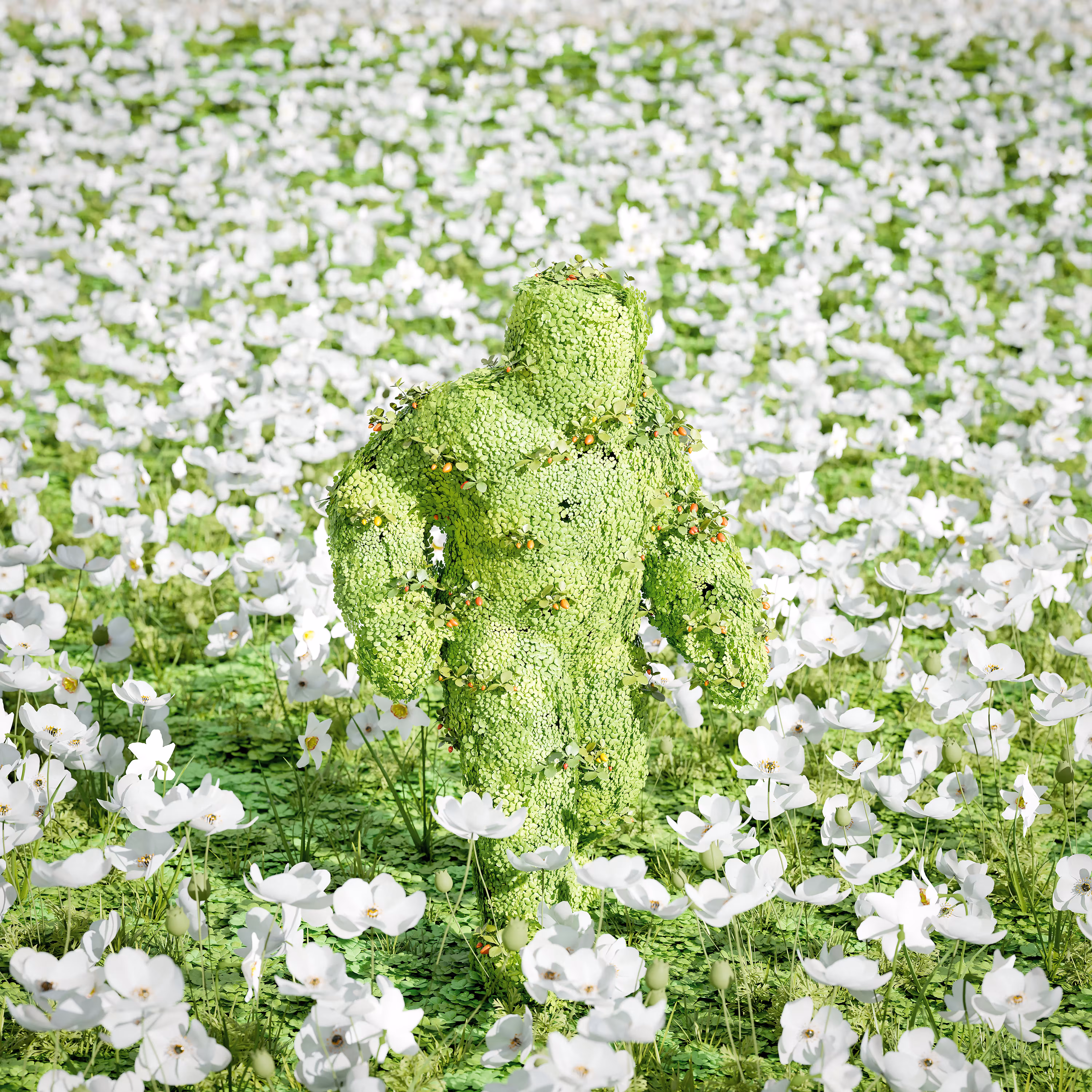 blooming swamp