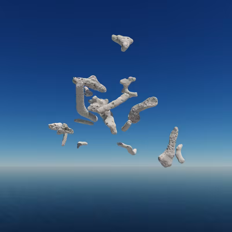 Bone Work (Gulf of Mexico) 2022 #44