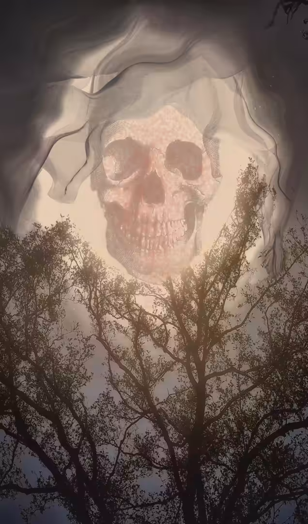 She is (animated)