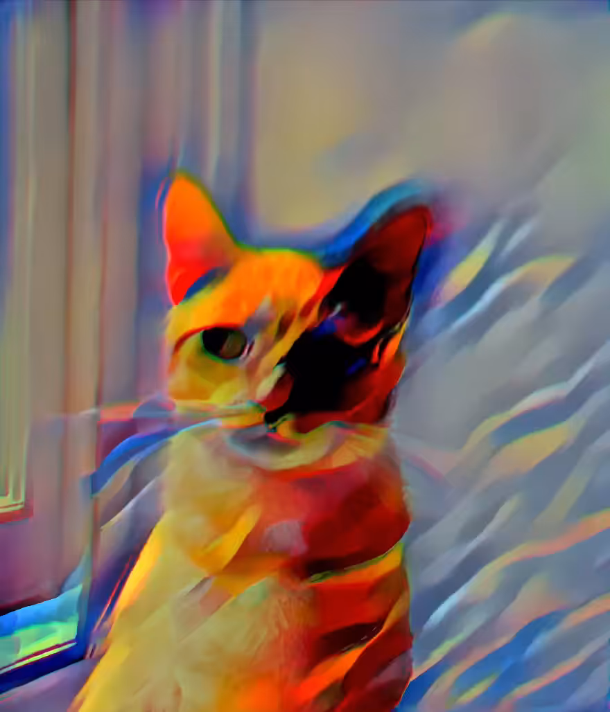 Red cat