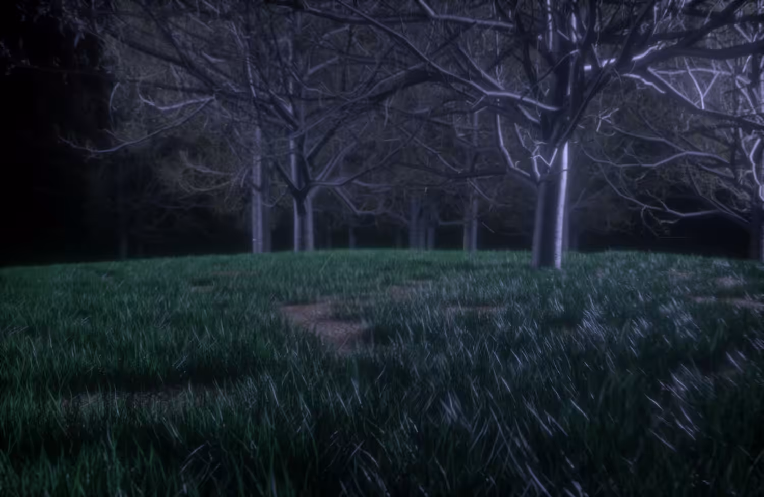 Forest Souls