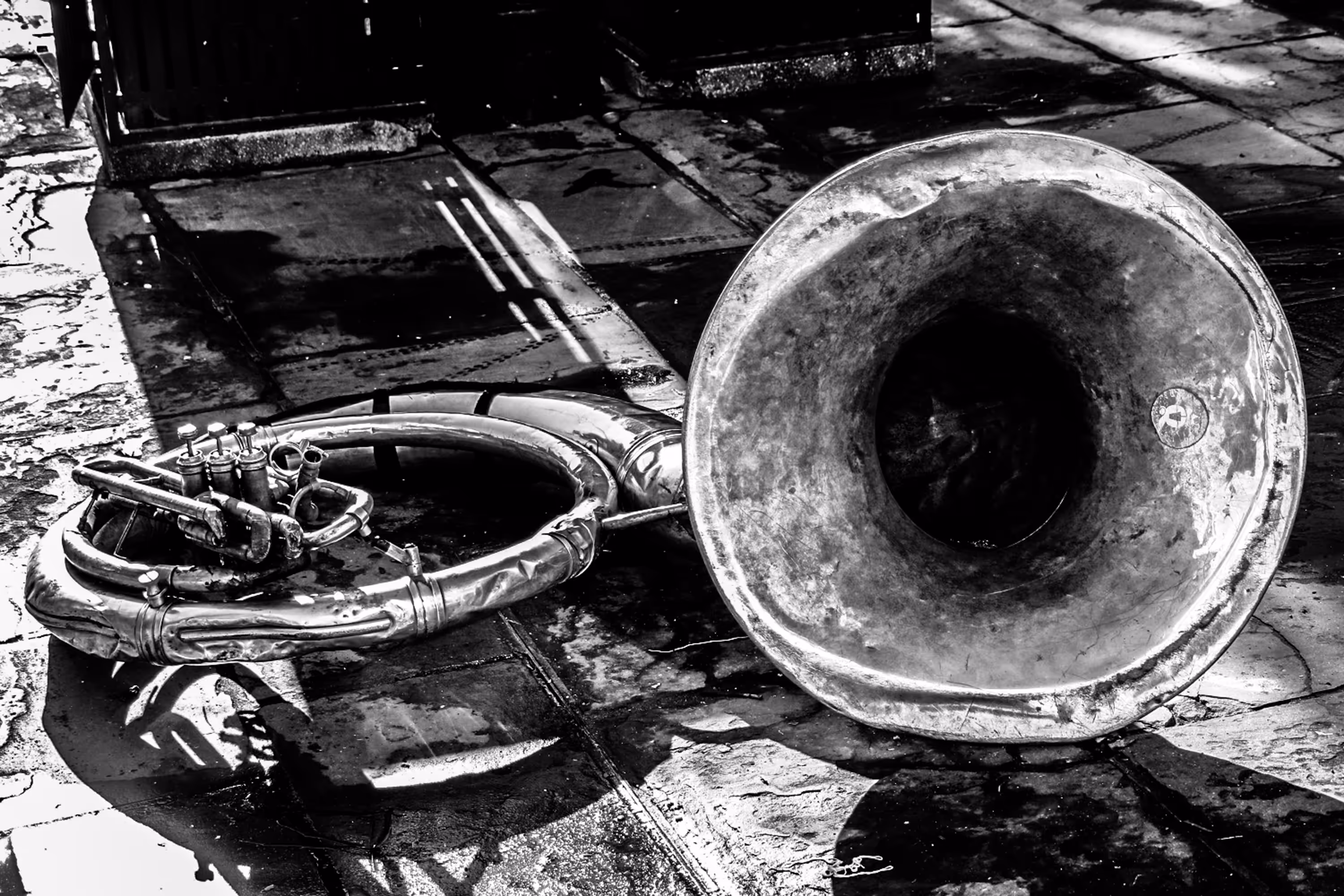 Horn