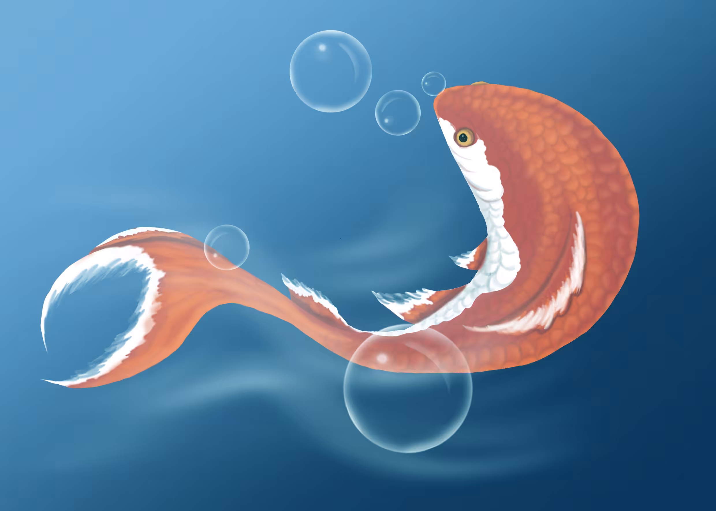 Art Of Abolfazl : Beauty Of The Golden Fish 