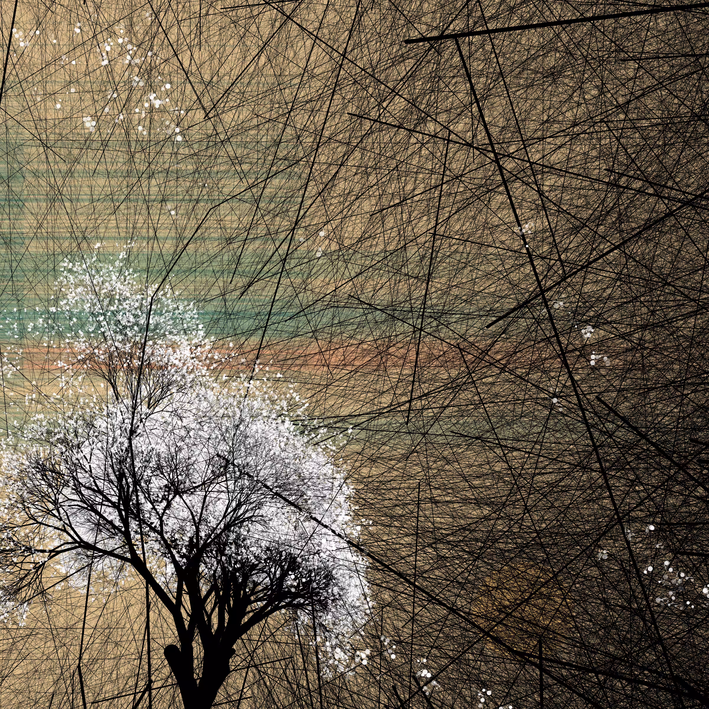 conversation with the wind #139