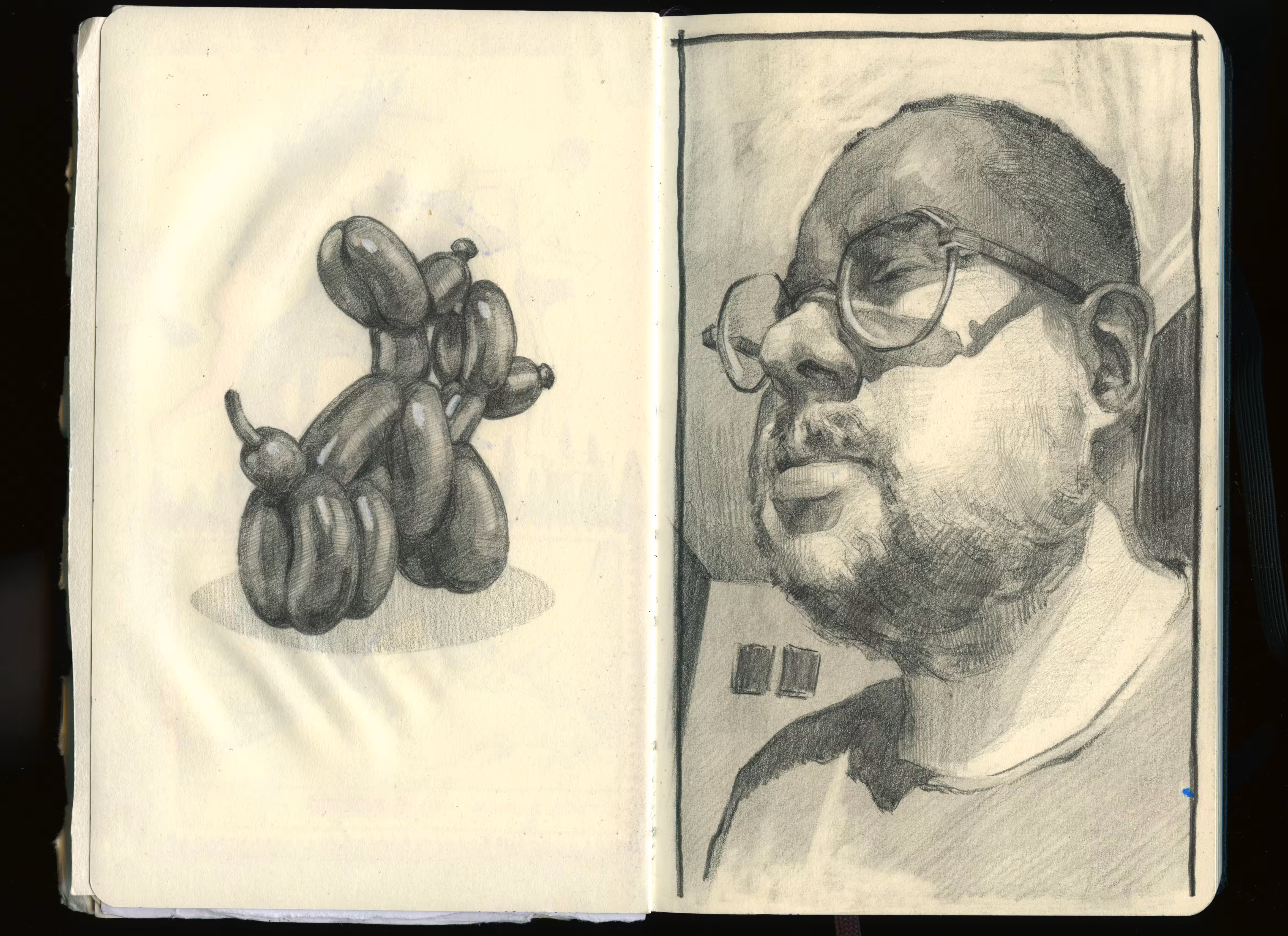 Secret Sketchbook