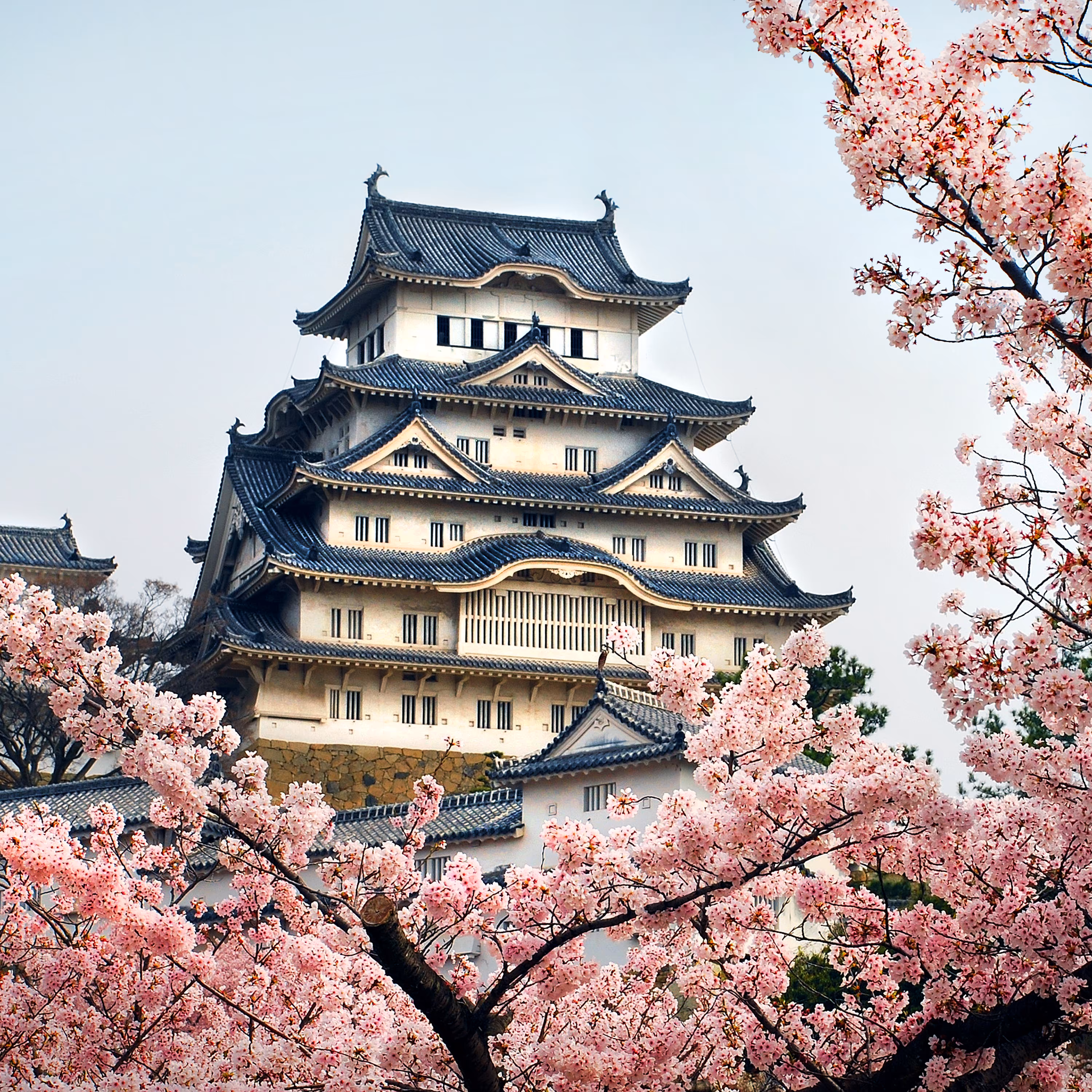 Himeji Jyou