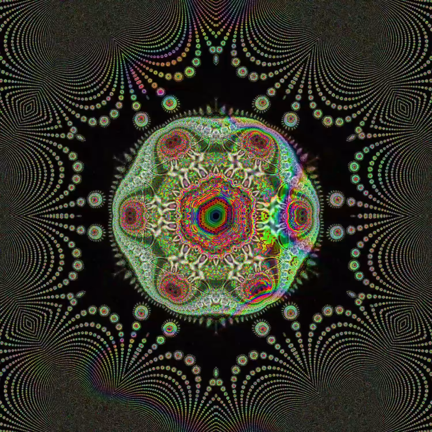 THE CELL
