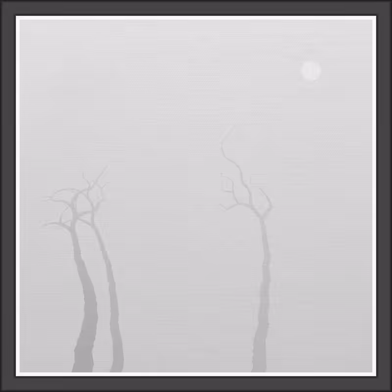 The Foggy Trees #44