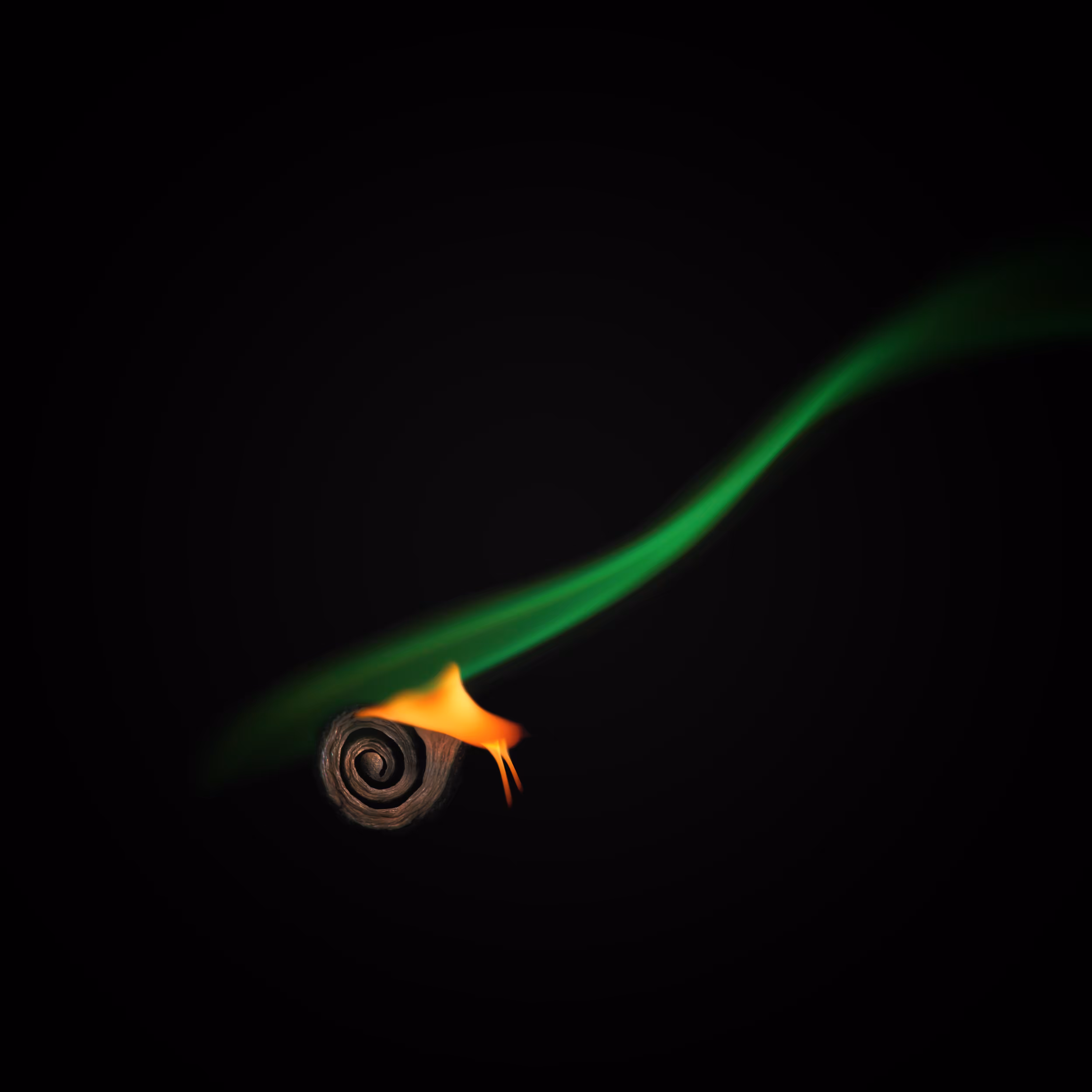 #32 - Snail