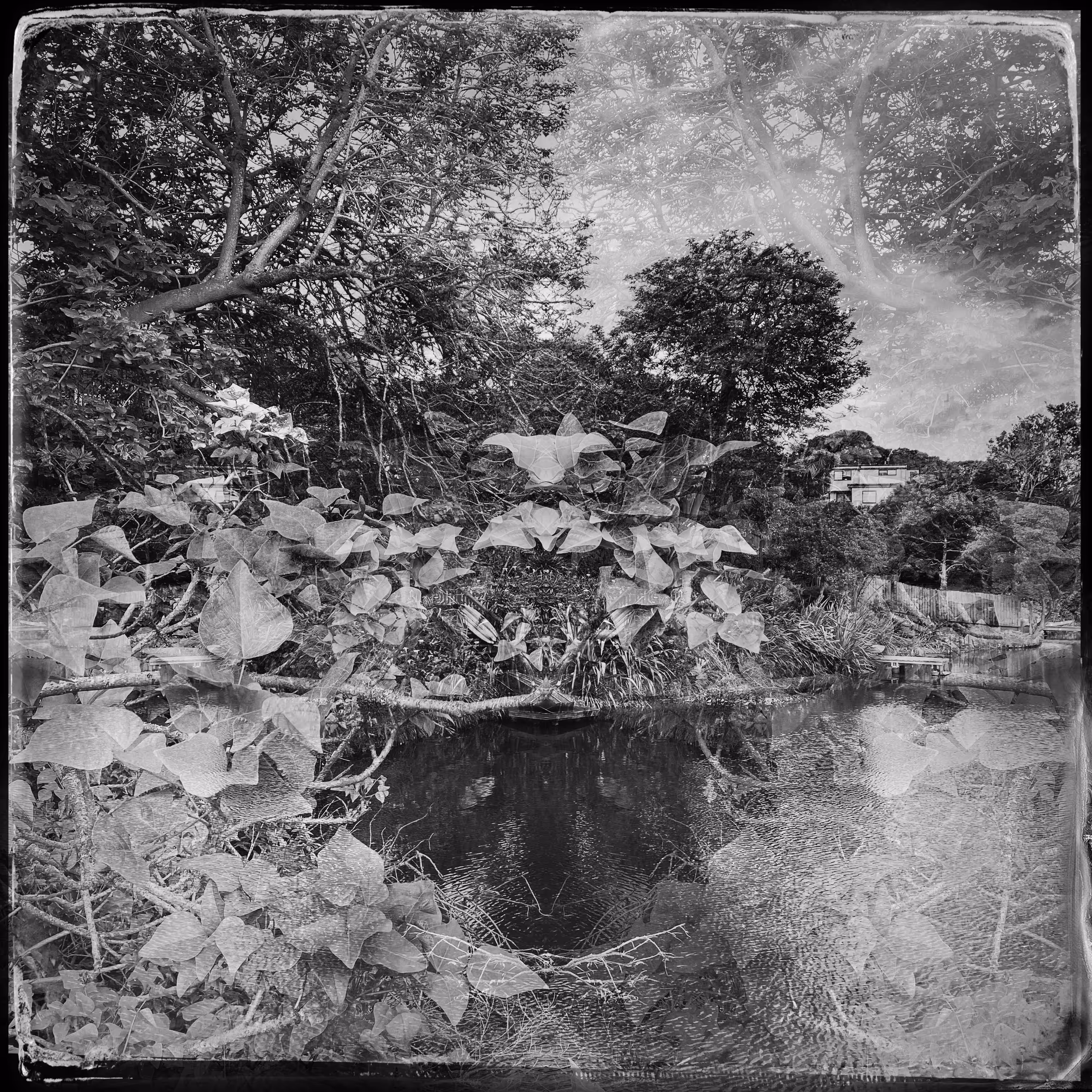 Overgrown
