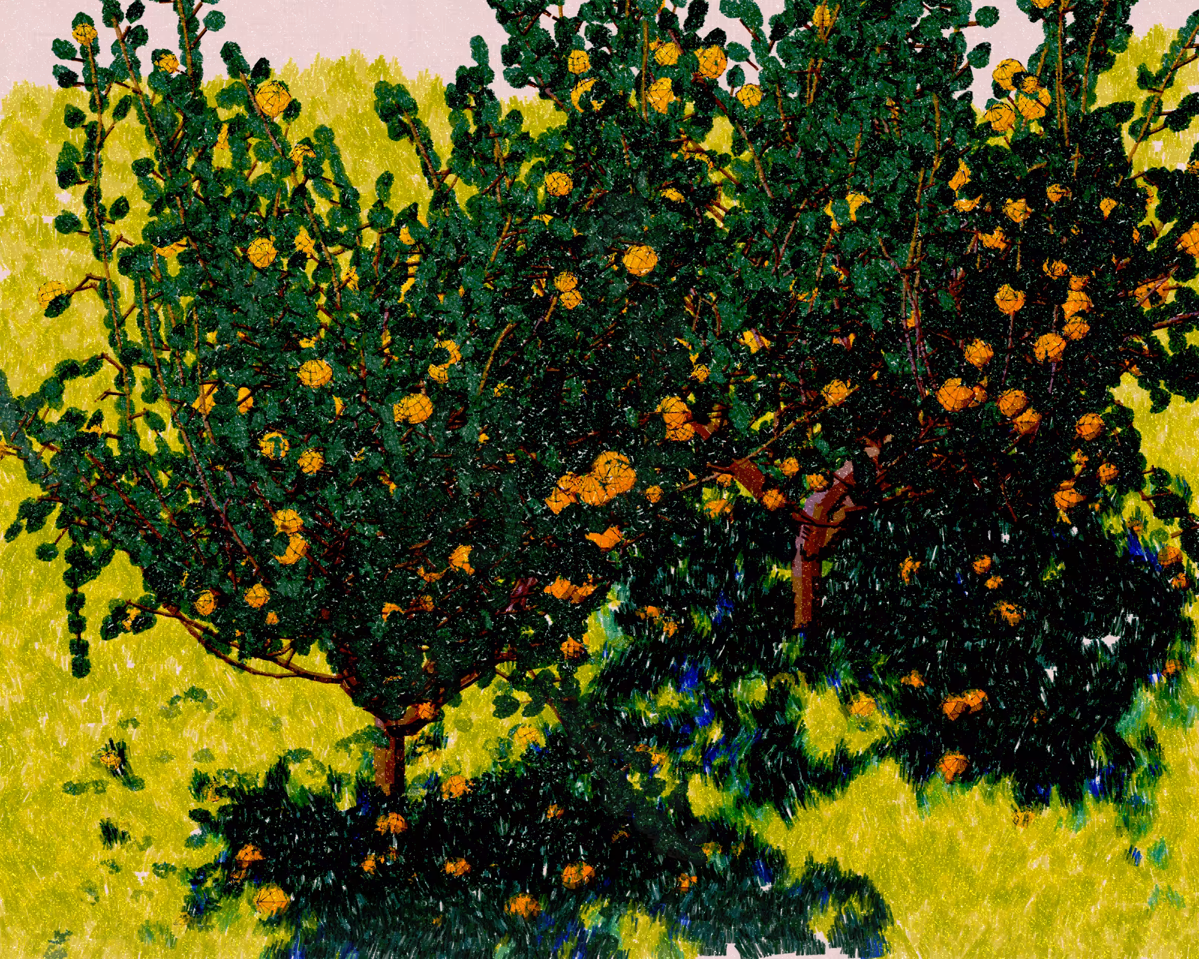 Old Grove #9
