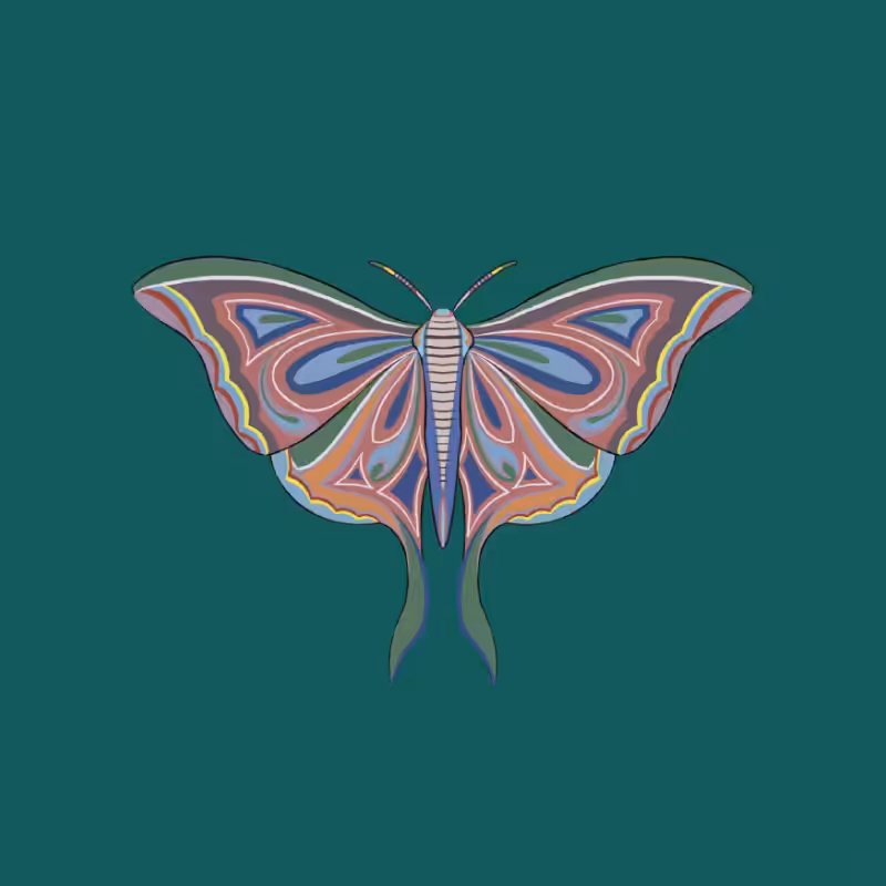 The Moth Experiment 2.0 P2 #32