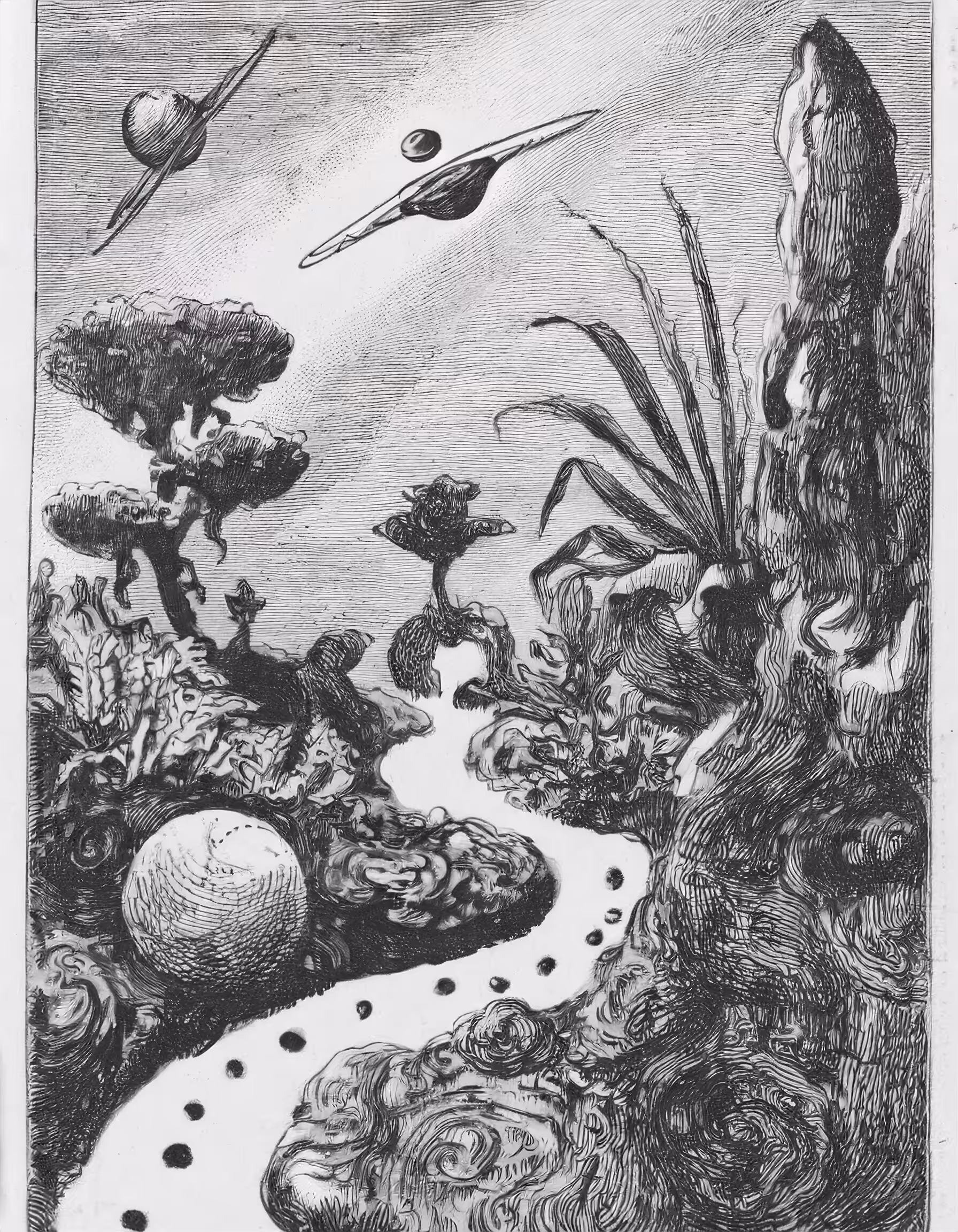 Starlit Celestial Garden