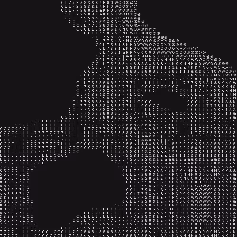 Praxis 002 #41